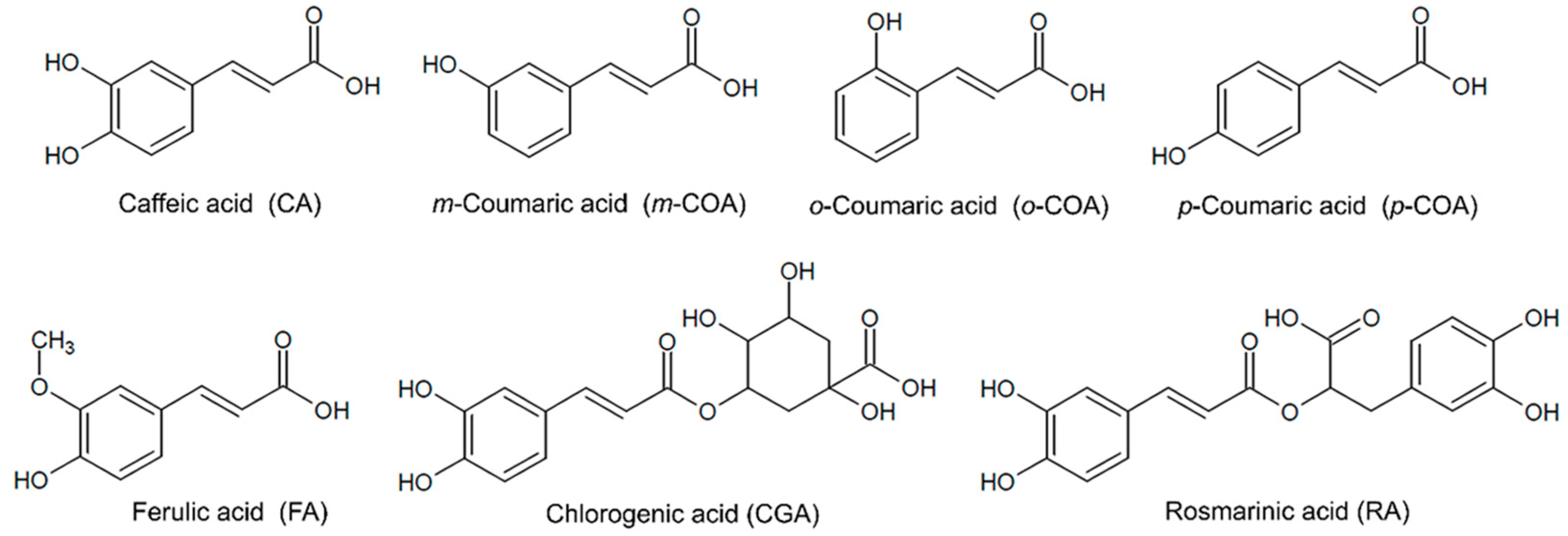 Pharmaceutics 14 02530 g001