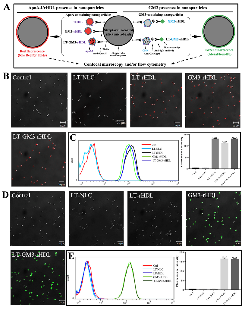 Pharmaceutics 14 02534 g001