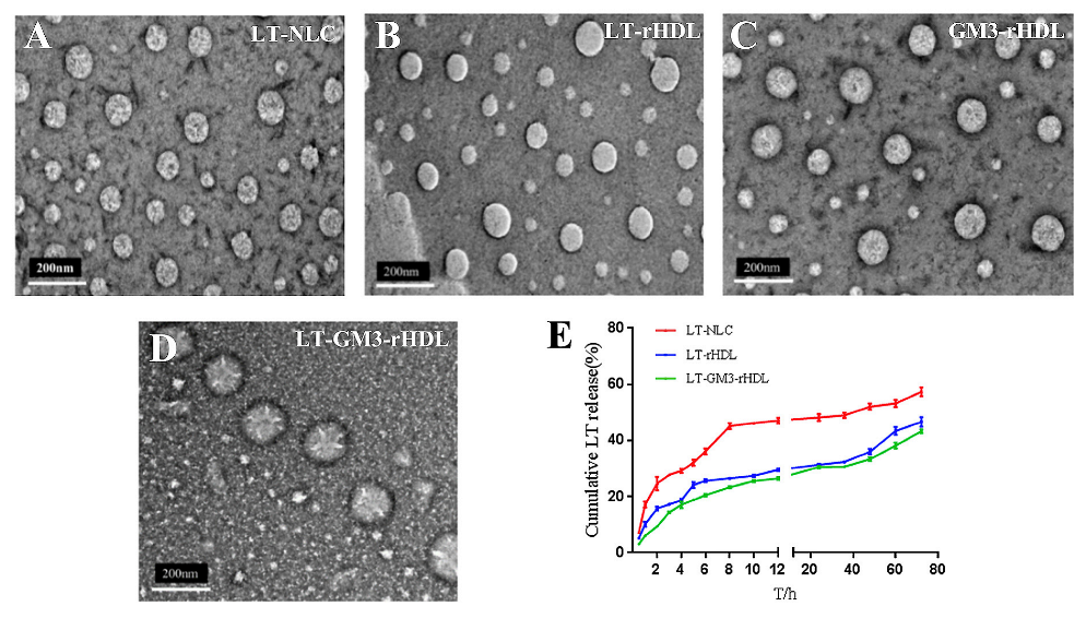Pharmaceutics 14 02534 g002