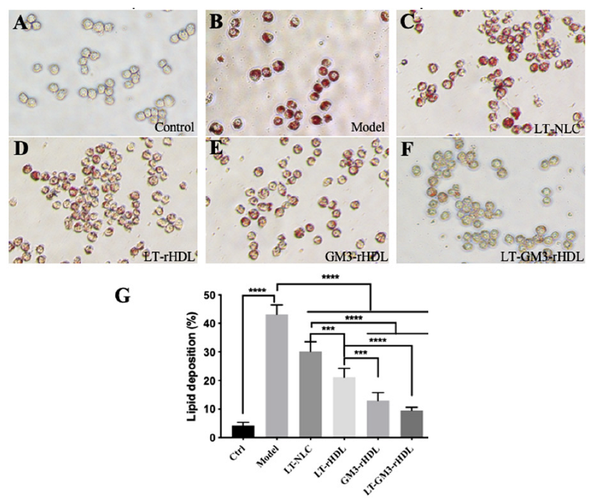 Pharmaceutics 14 02534 g004