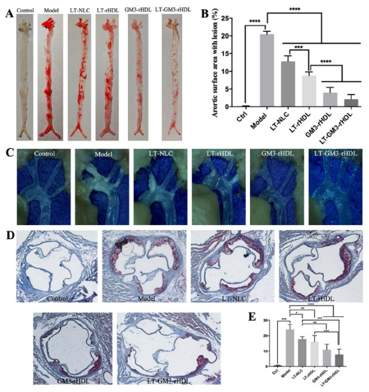Pharmaceutics 14 02534 g007