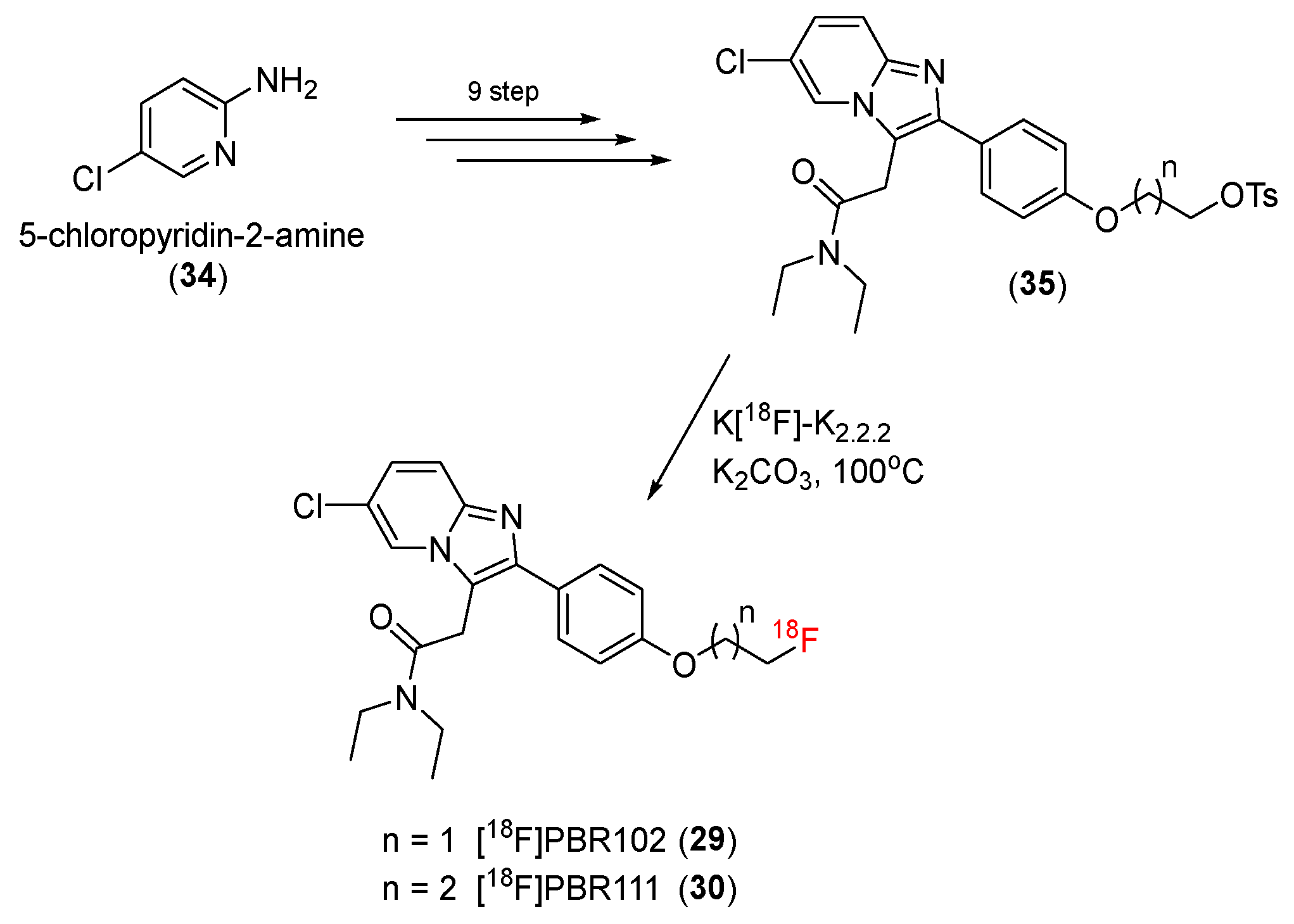 Pharmaceutics 14 02545 sch009