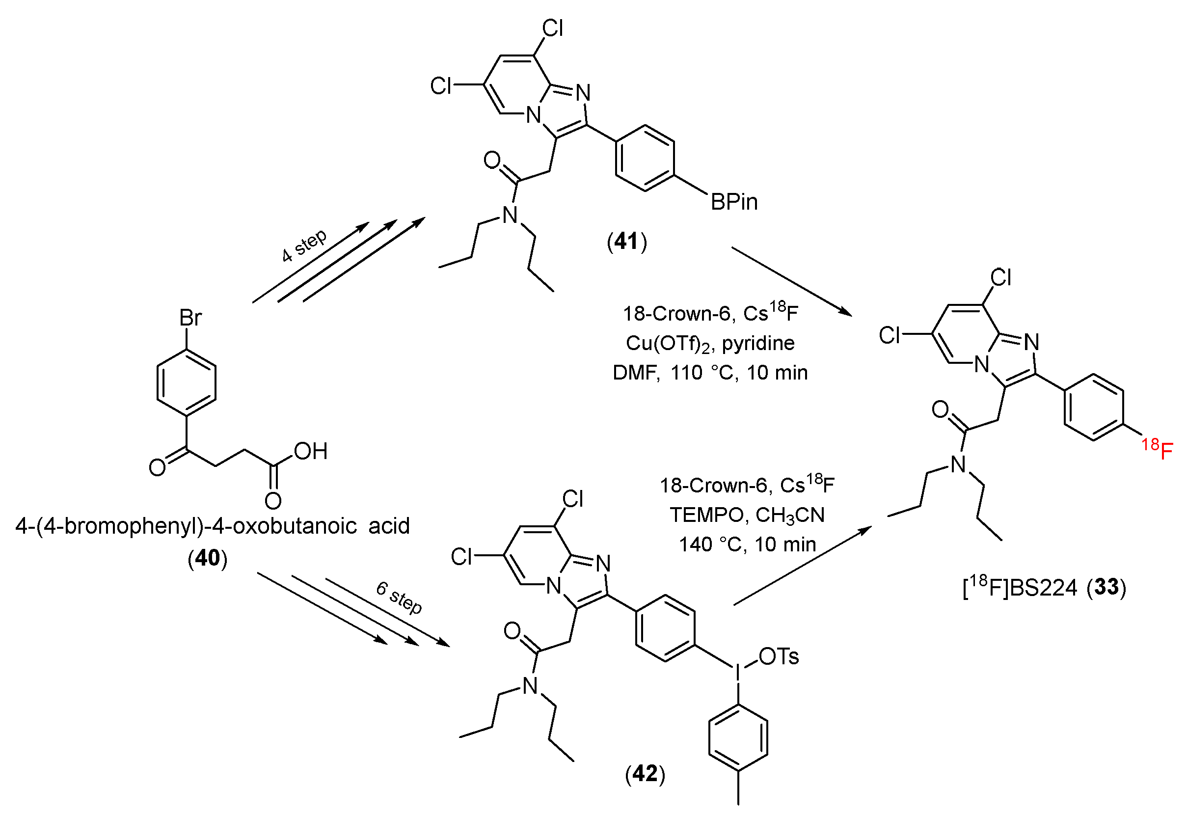 Pharmaceutics 14 02545 sch012