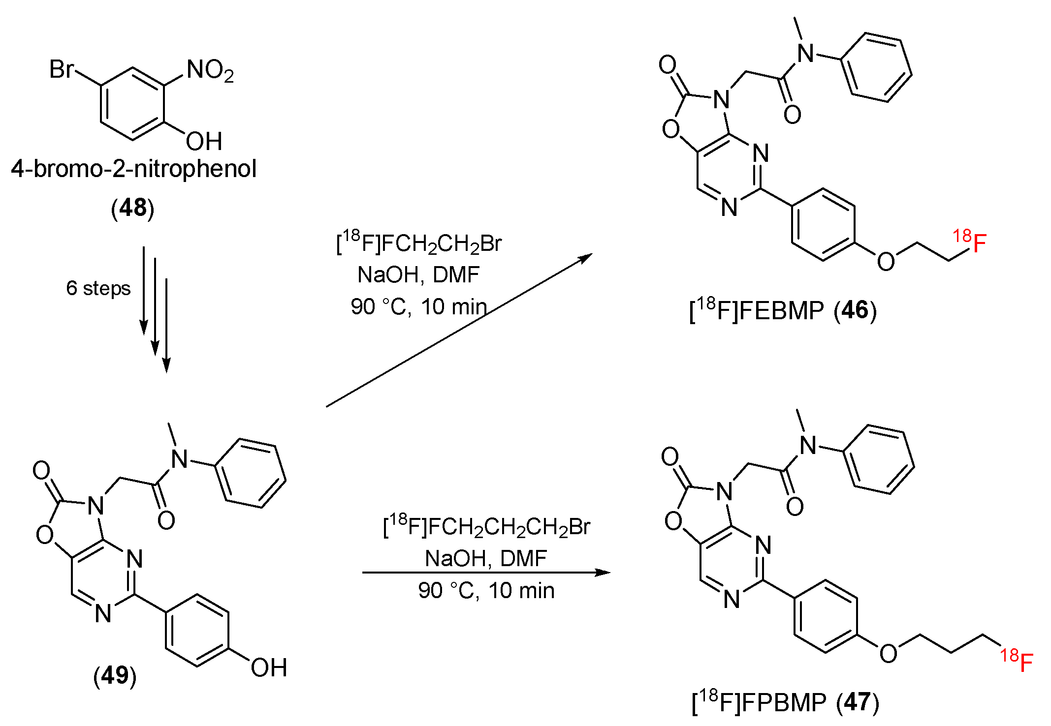 Pharmaceutics 14 02545 sch014