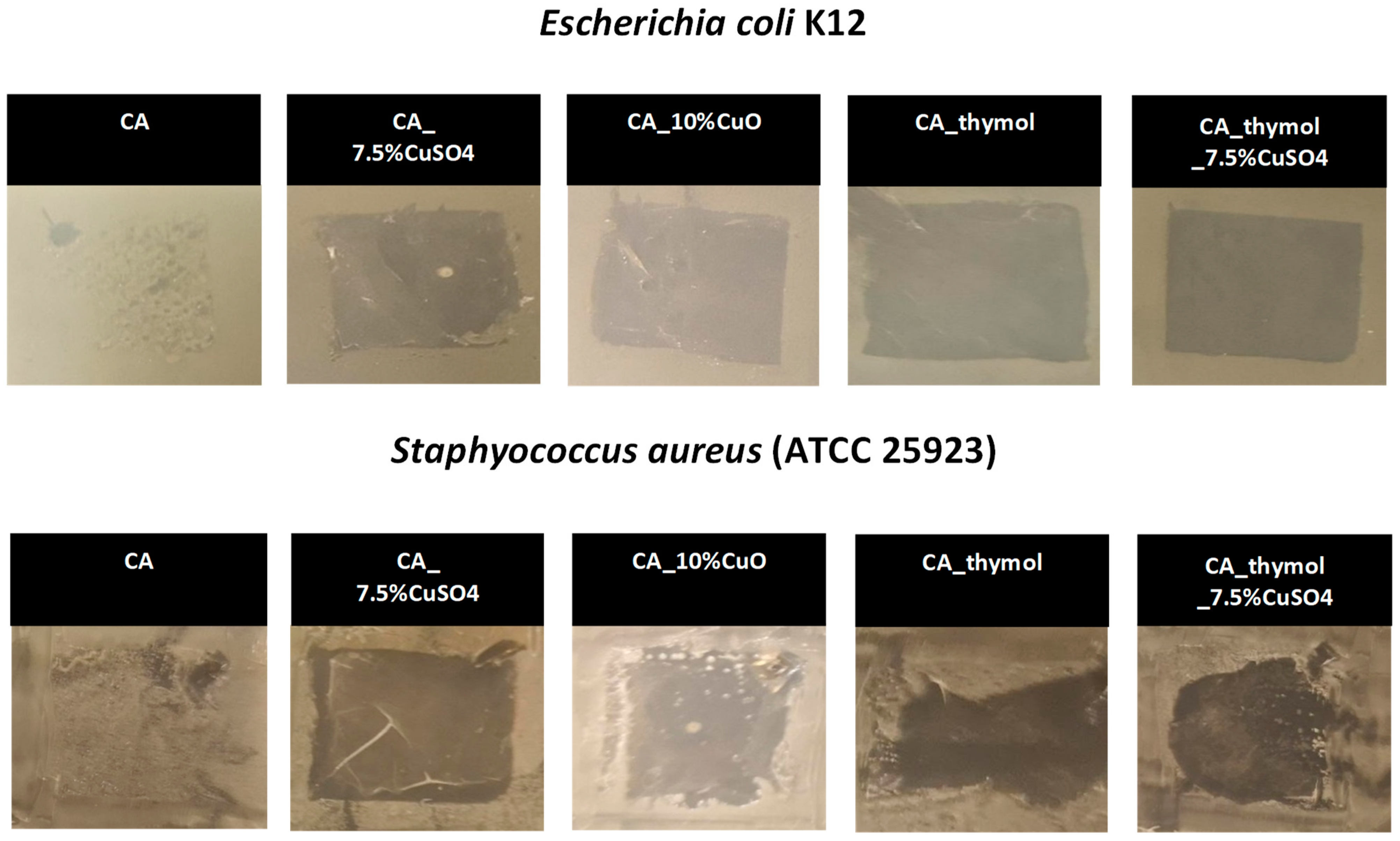 Pharmaceutics 14 02549 g003 Pharmaceutics 14 02549 g003