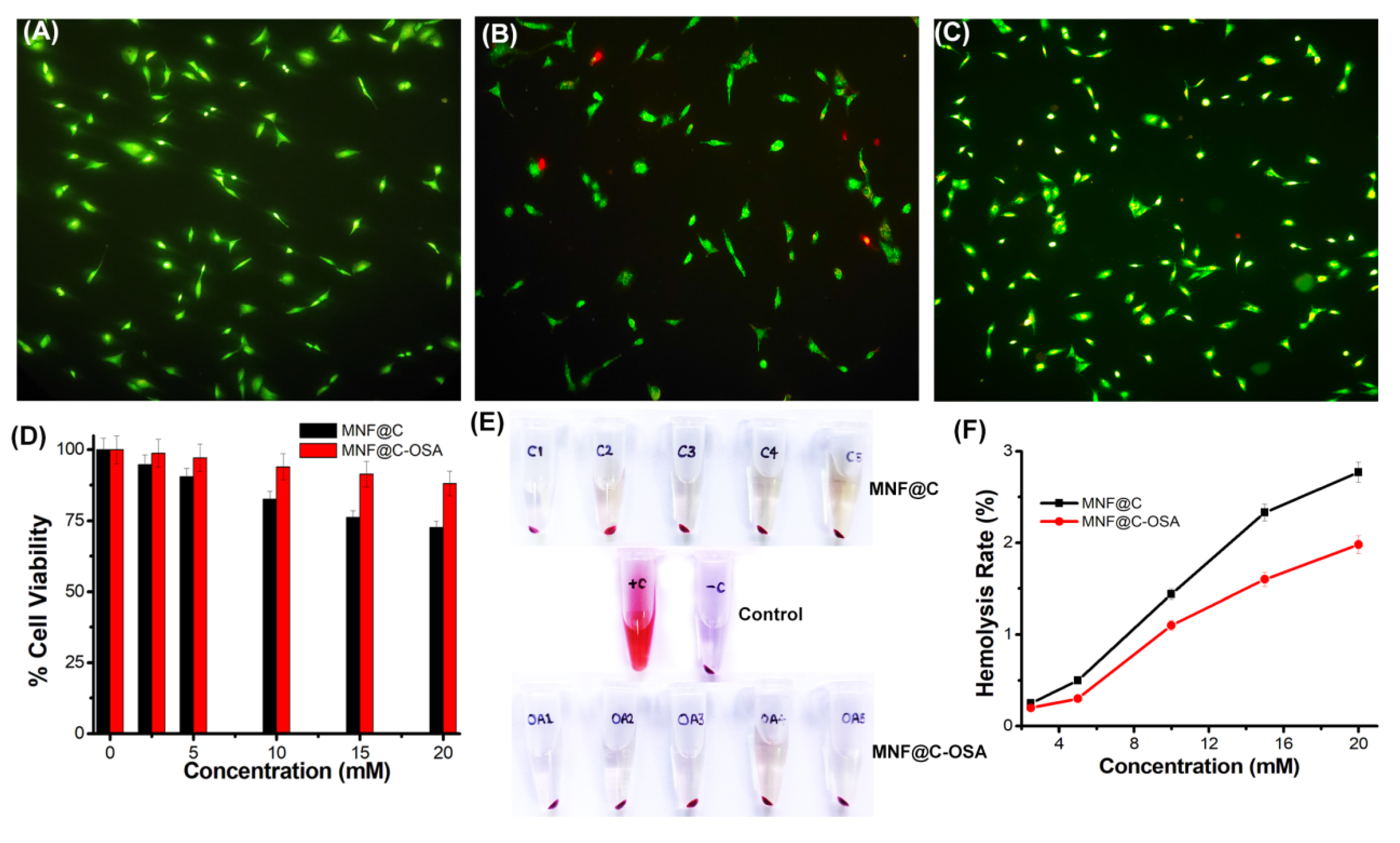 Pharmaceutics 14 02550 g006