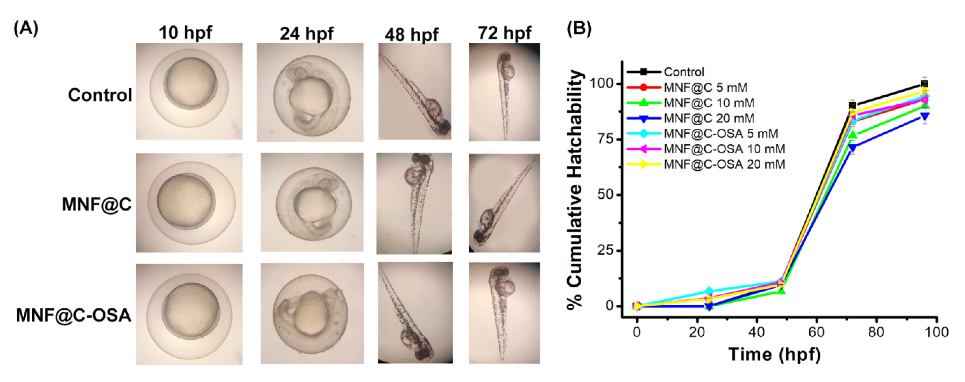 Pharmaceutics 14 02550 g007
