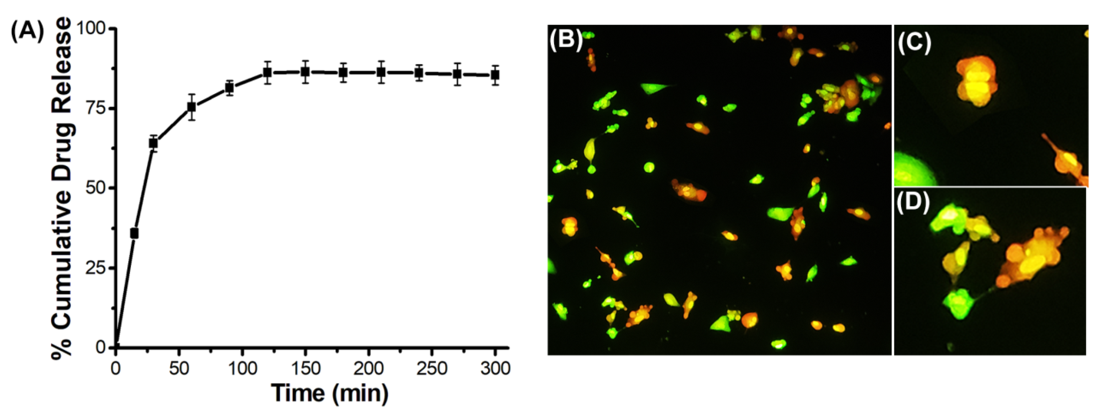 Pharmaceutics 14 02550 g008