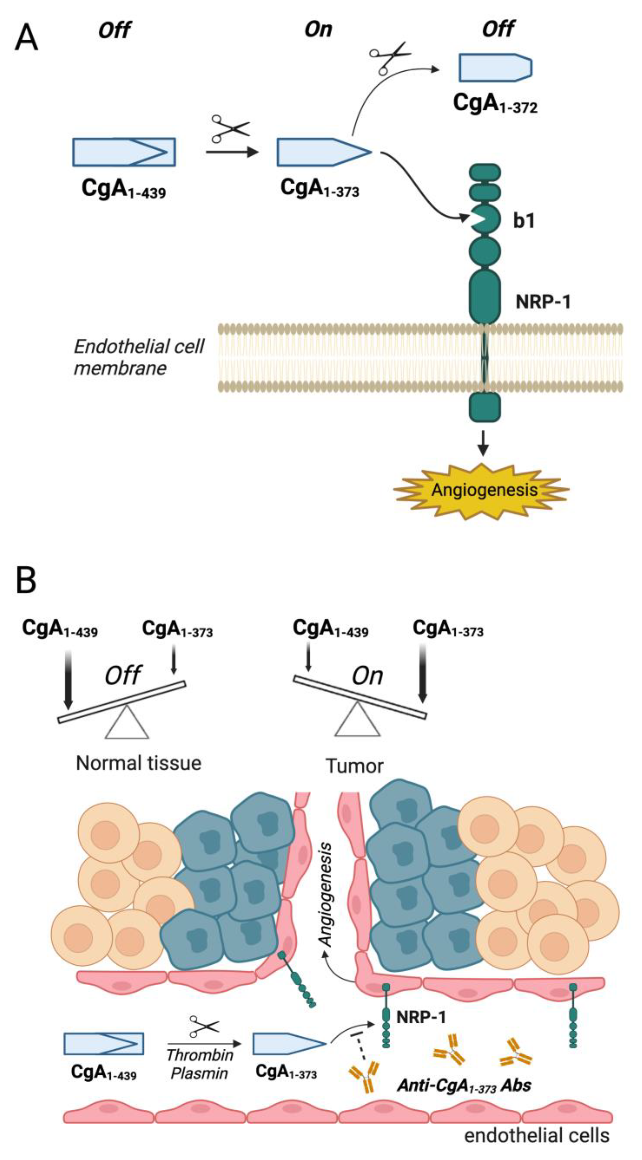 Pharmaceutics 14 02555 g001