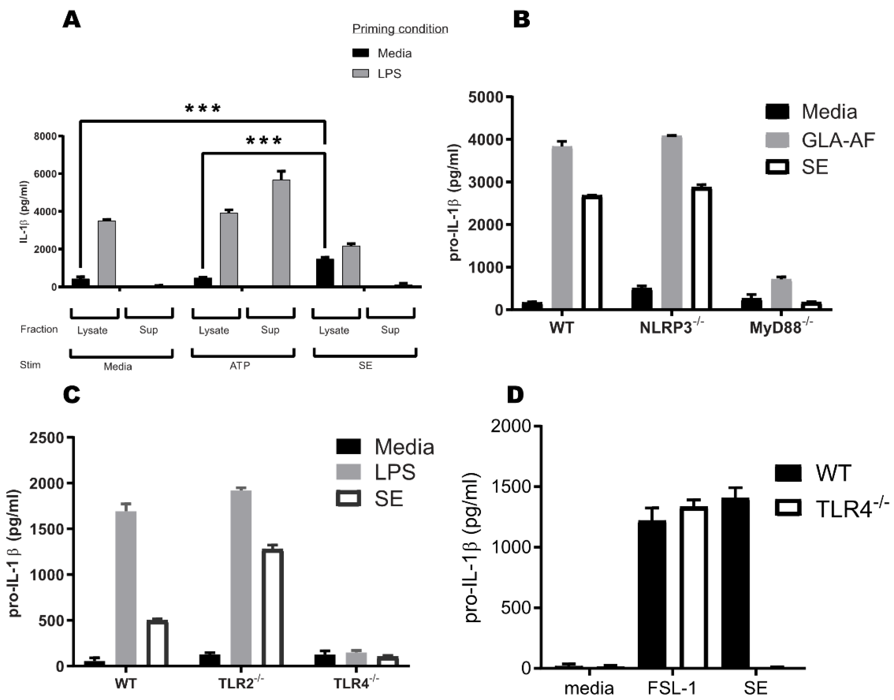 Pharmaceutics 14 02557 g001 Pharmaceutics 14 02557 g001