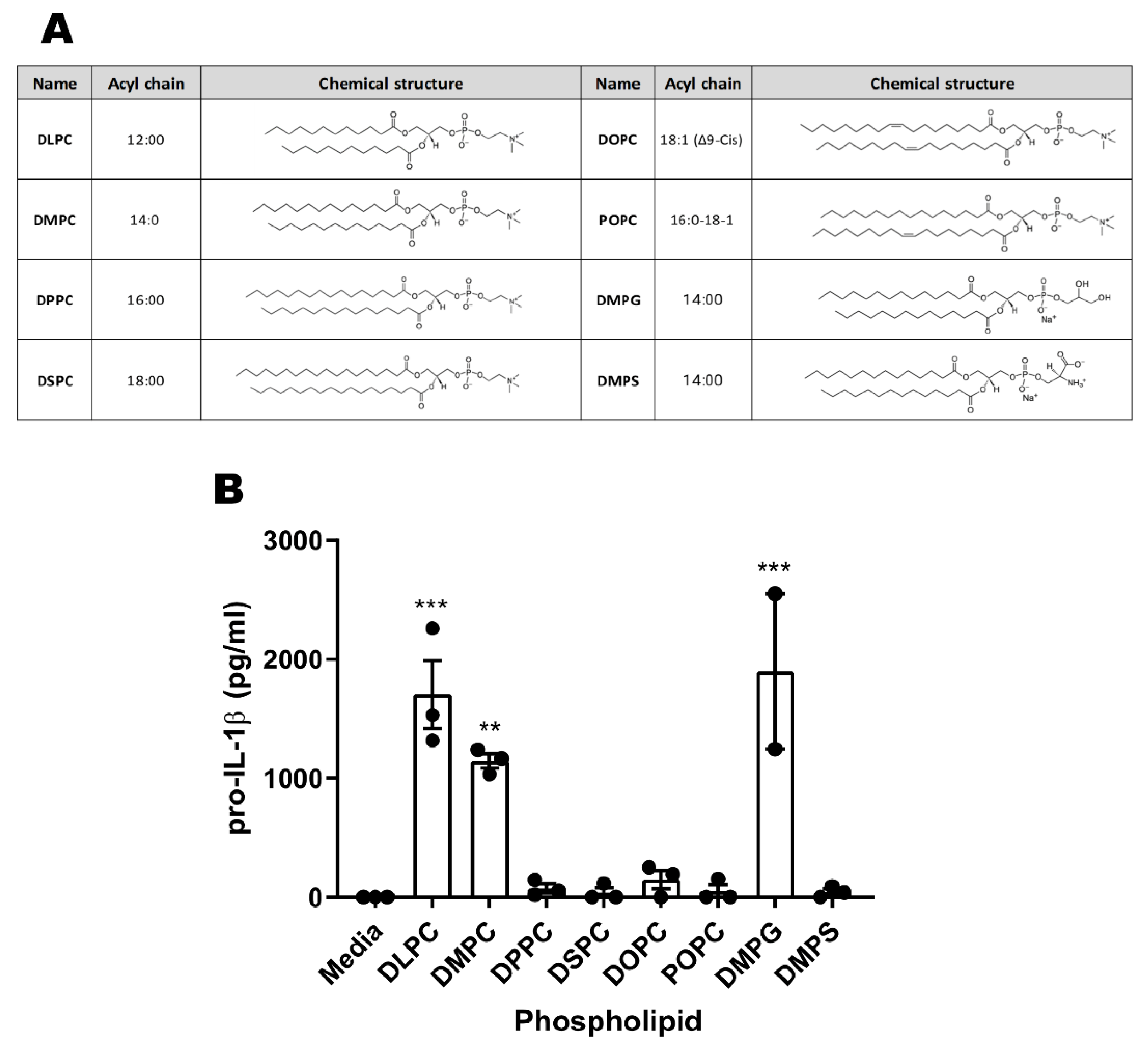 Pharmaceutics 14 02557 g005 Pharmaceutics 14 02557 g005