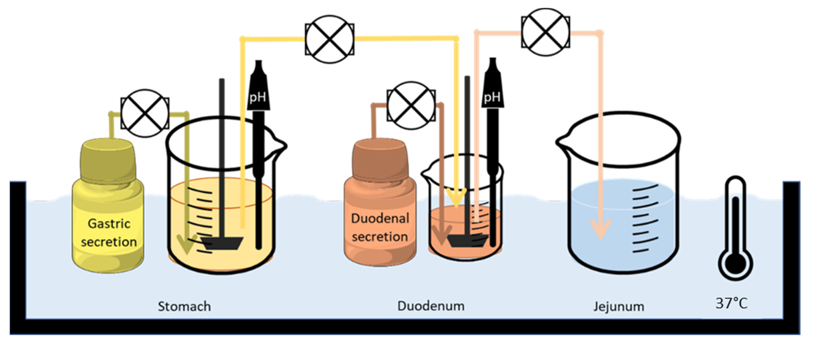 Pharmaceutics 14 02565 g001