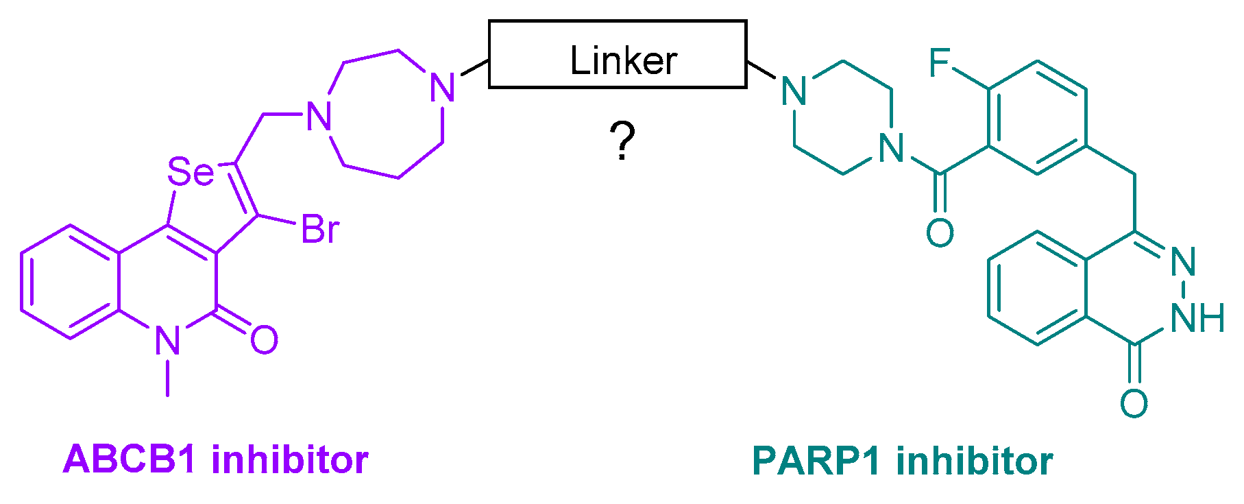Pharmaceutics 14 02571 g001
