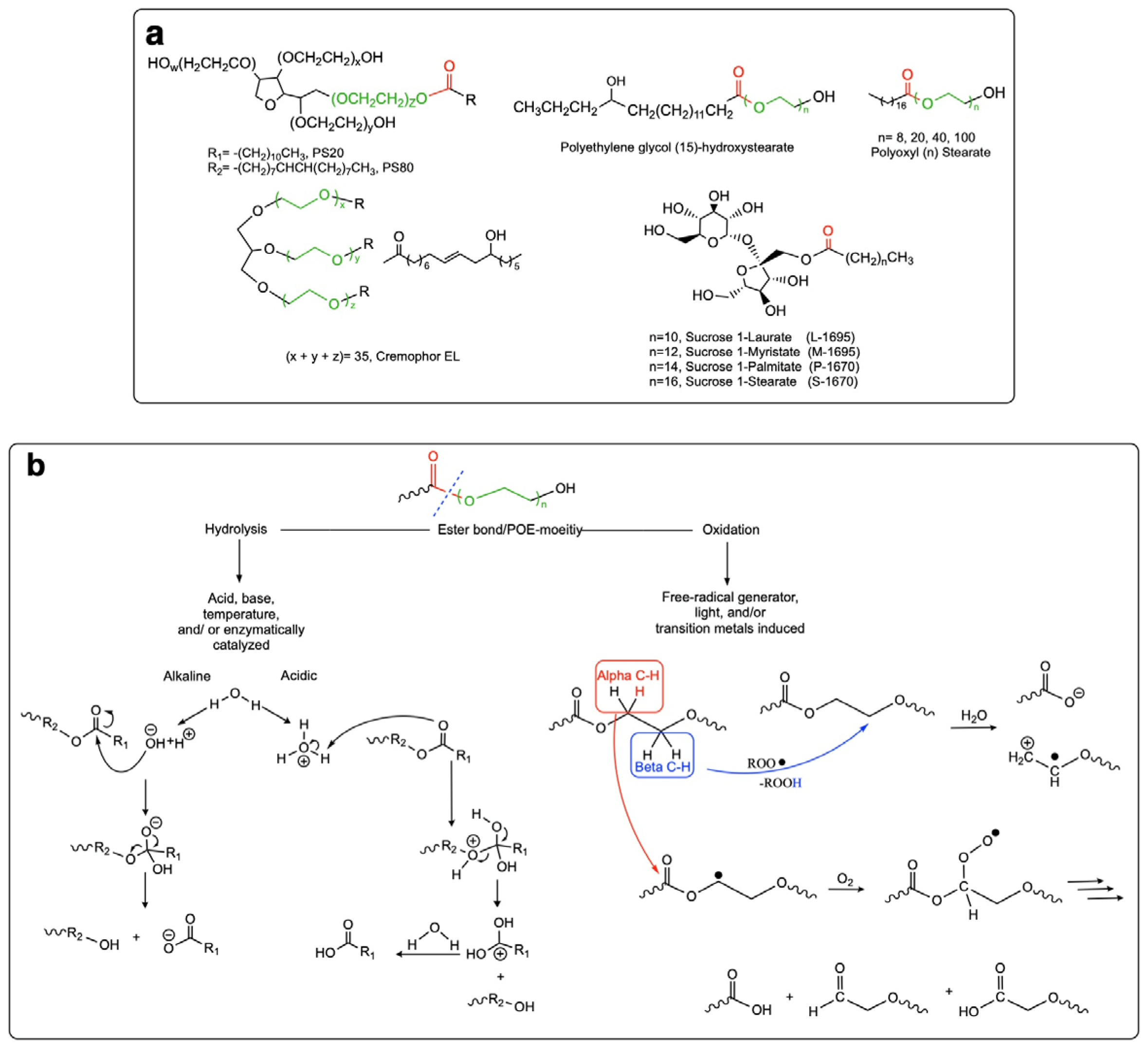 Pharmaceutics 14 02575 g001 Pharmaceutics 14 02575 g001