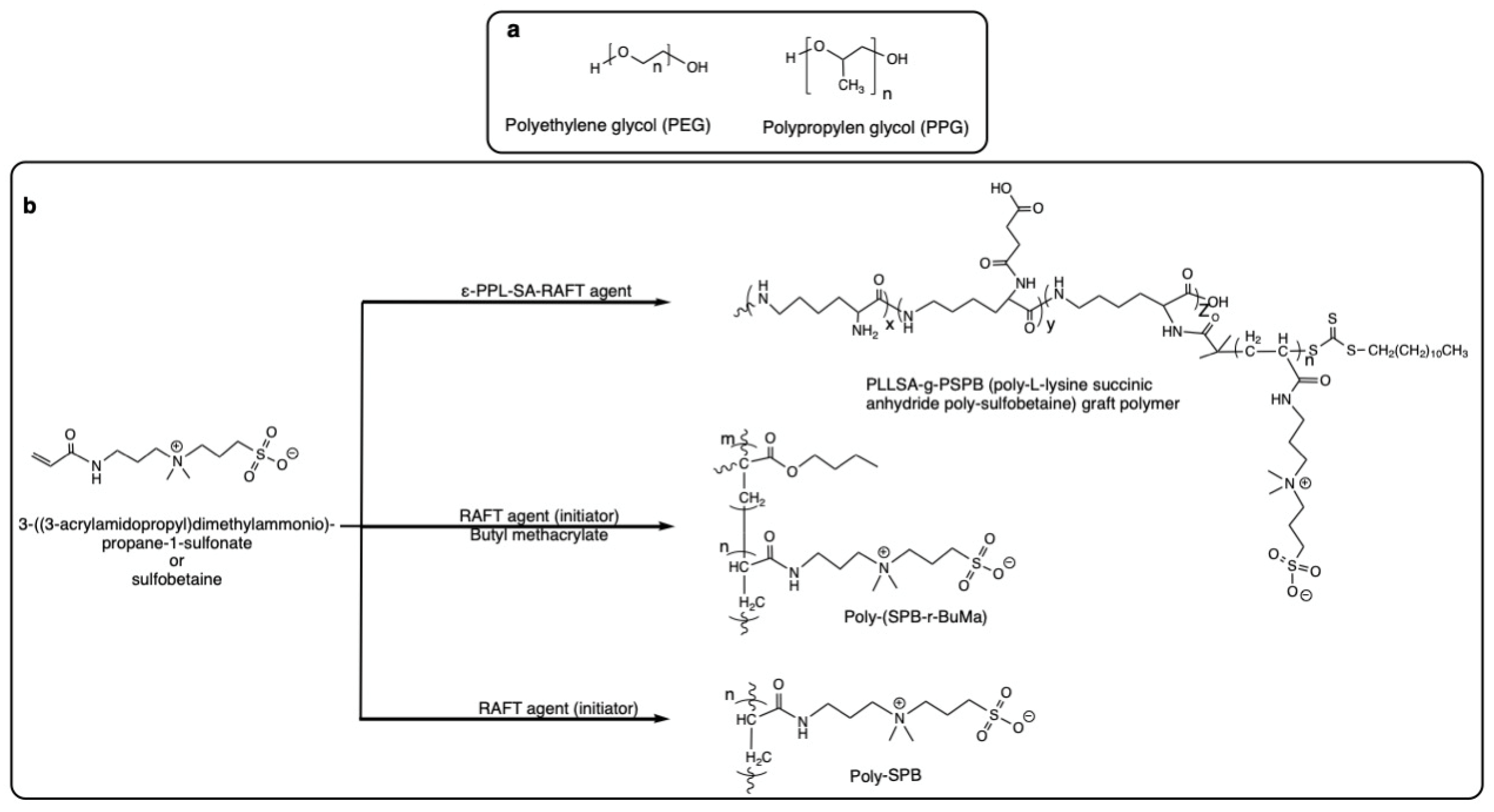 Pharmaceutics 14 02575 g005 Pharmaceutics 14 02575 g005