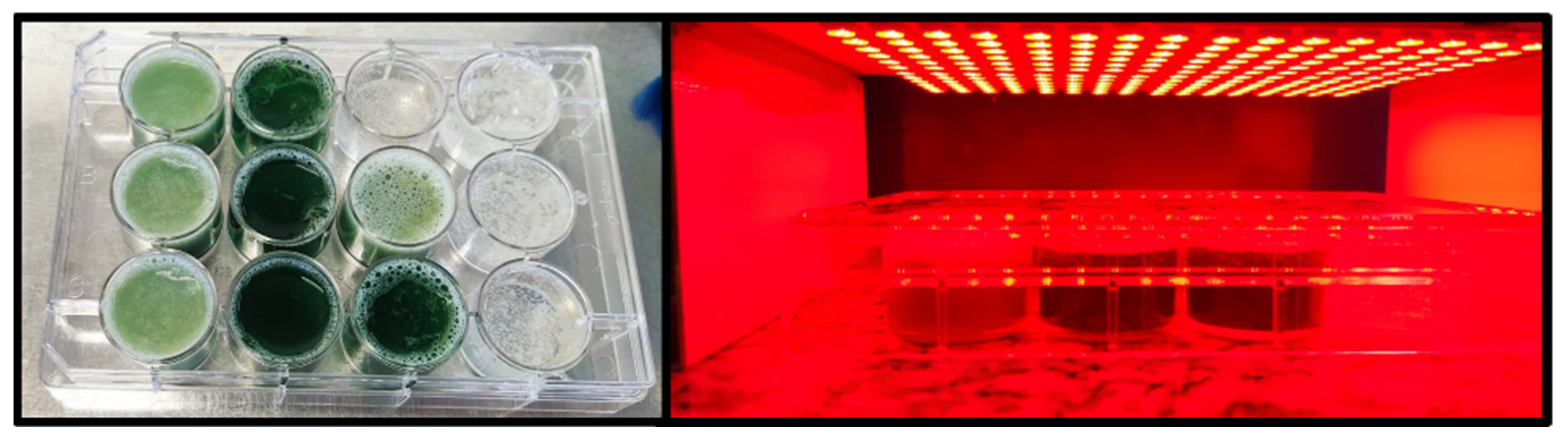 Pharmaceutics 14 02580 g002