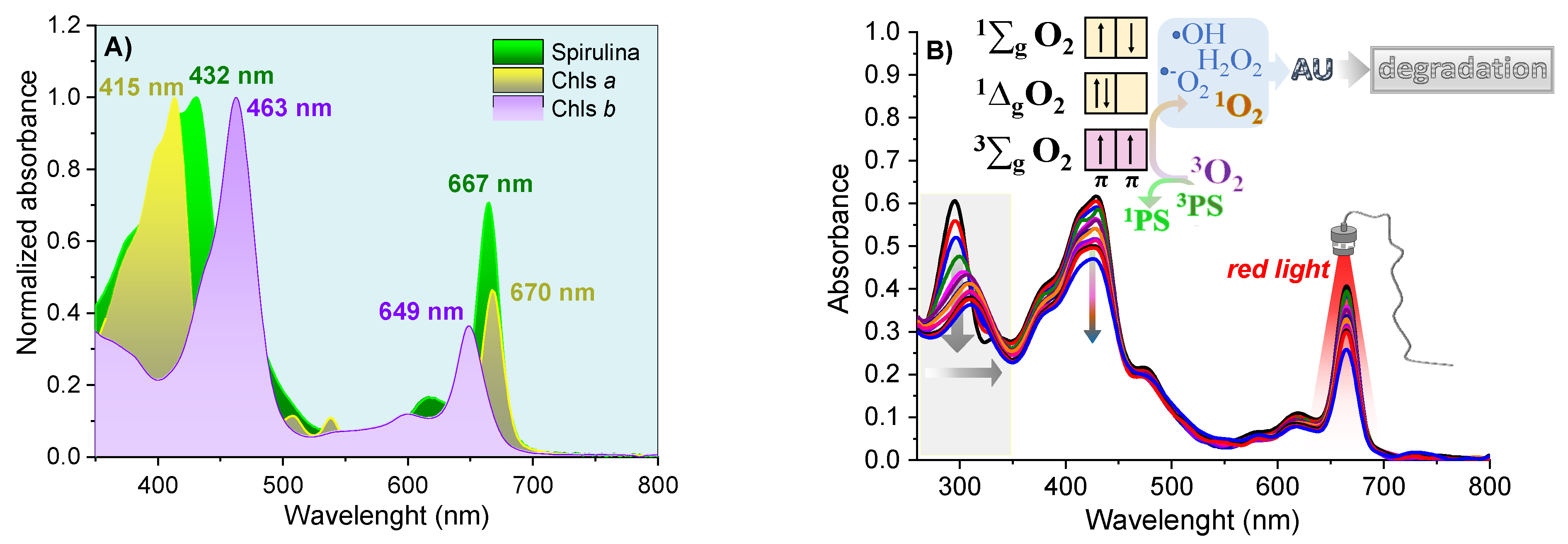 Pharmaceutics 14 02580 g005