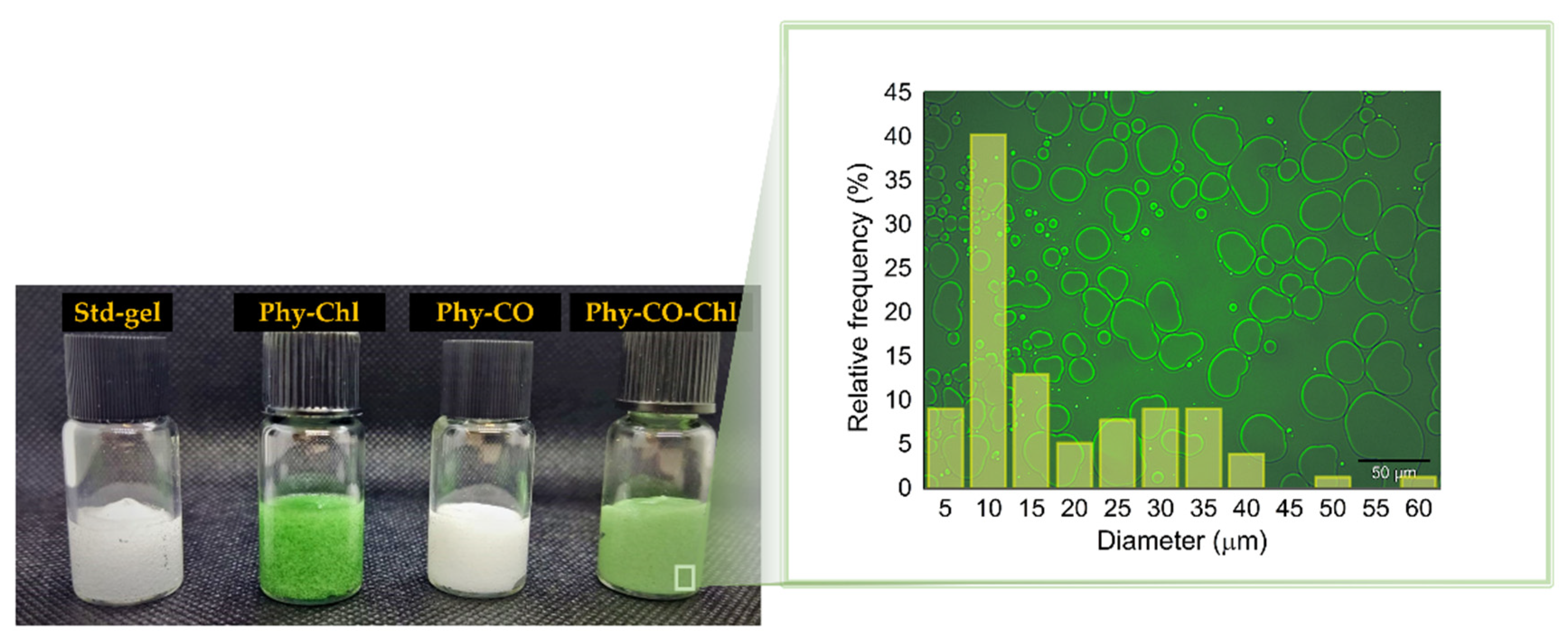 Pharmaceutics 14 02580 g006