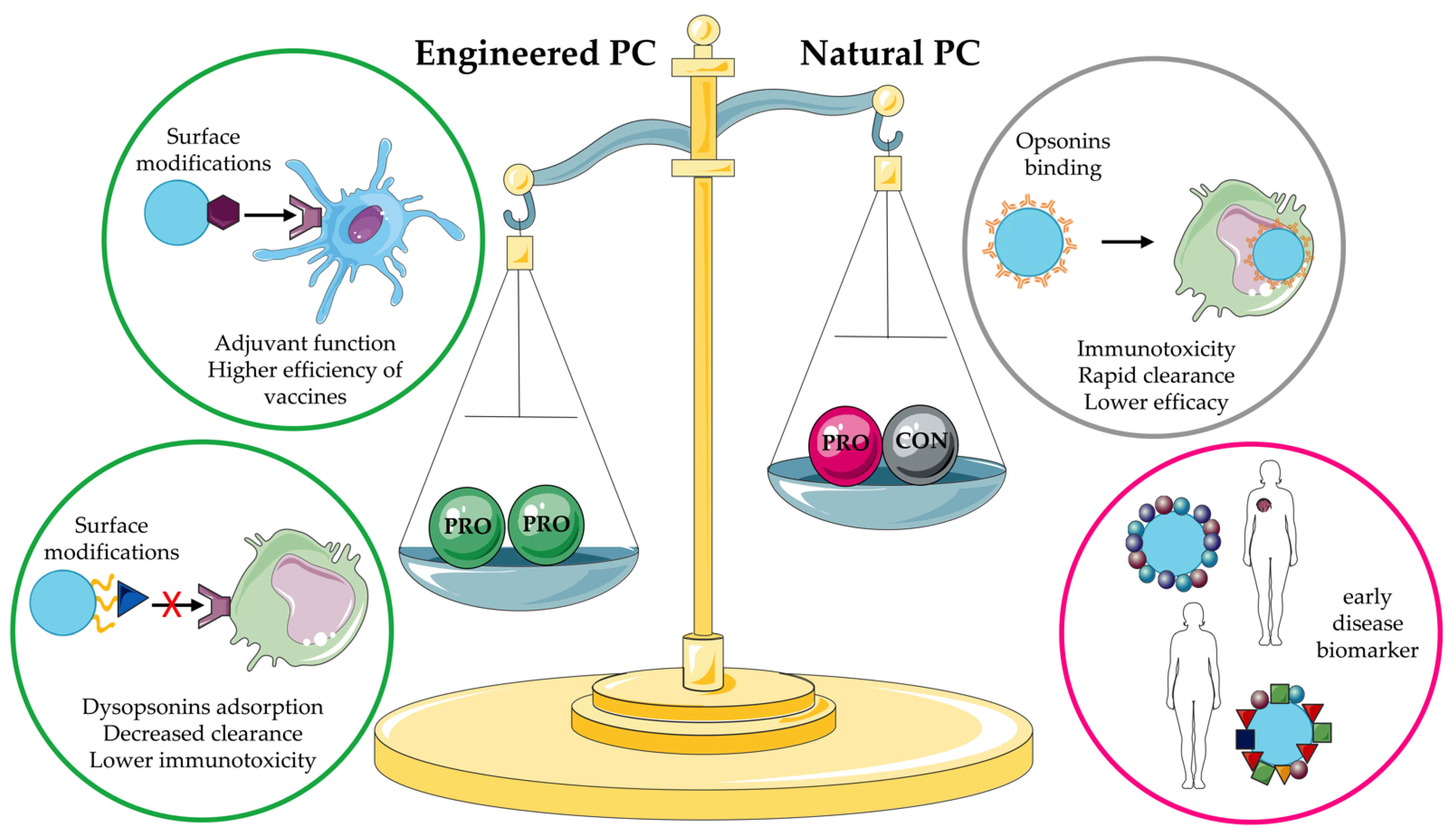 Pharmaceutics 14 02605 g009
