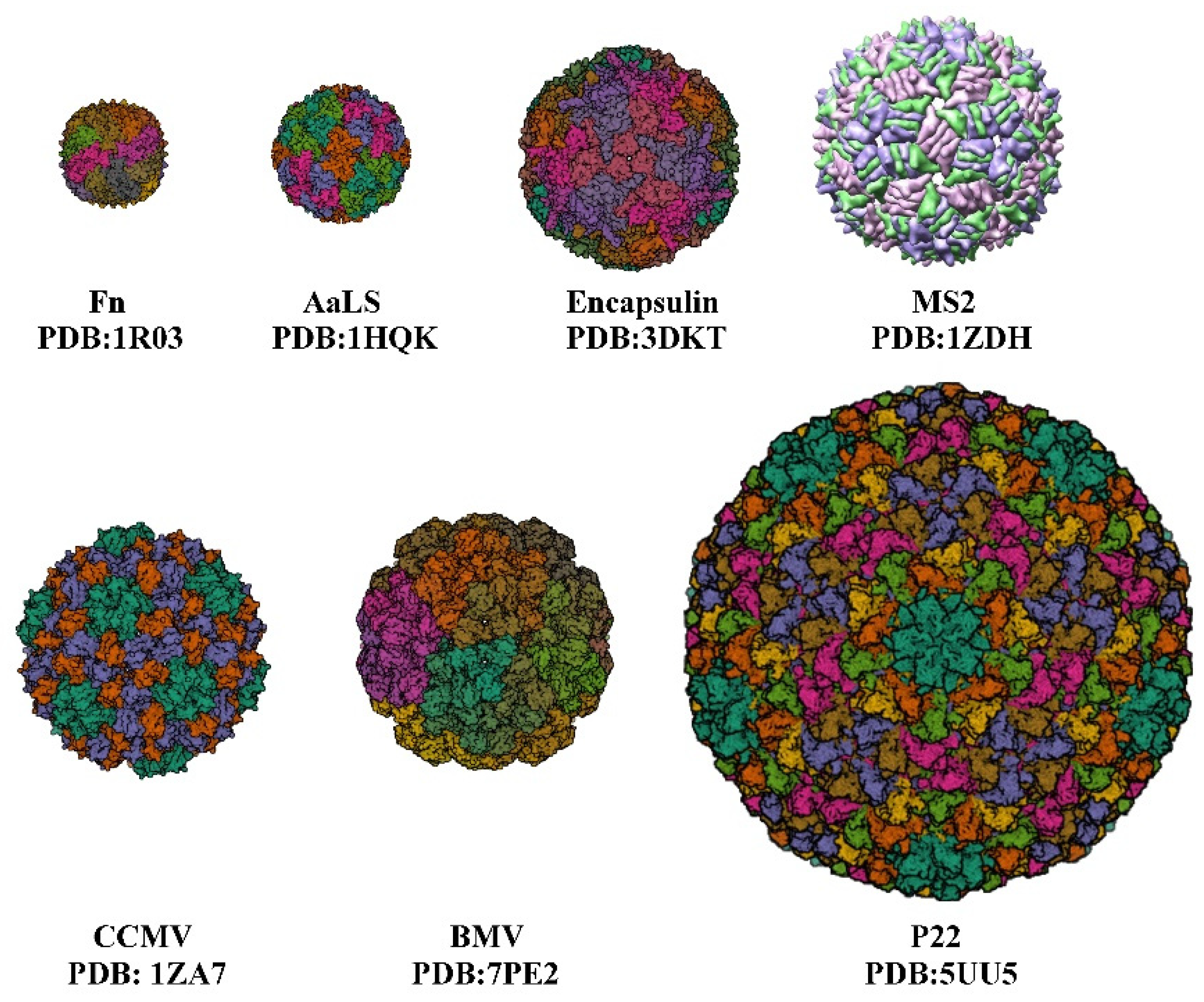 Pharmaceutics 14 02609 g001
