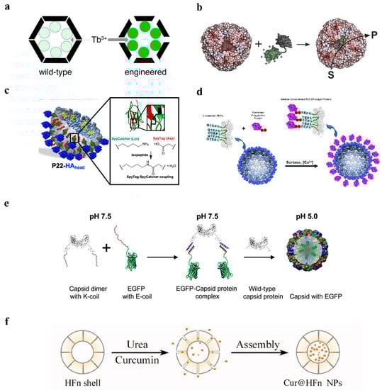 Pharmaceutics 14 02609 g002