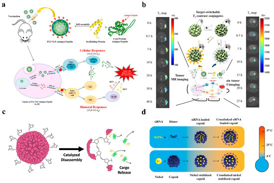 Pharmaceutics 14 02609 g004