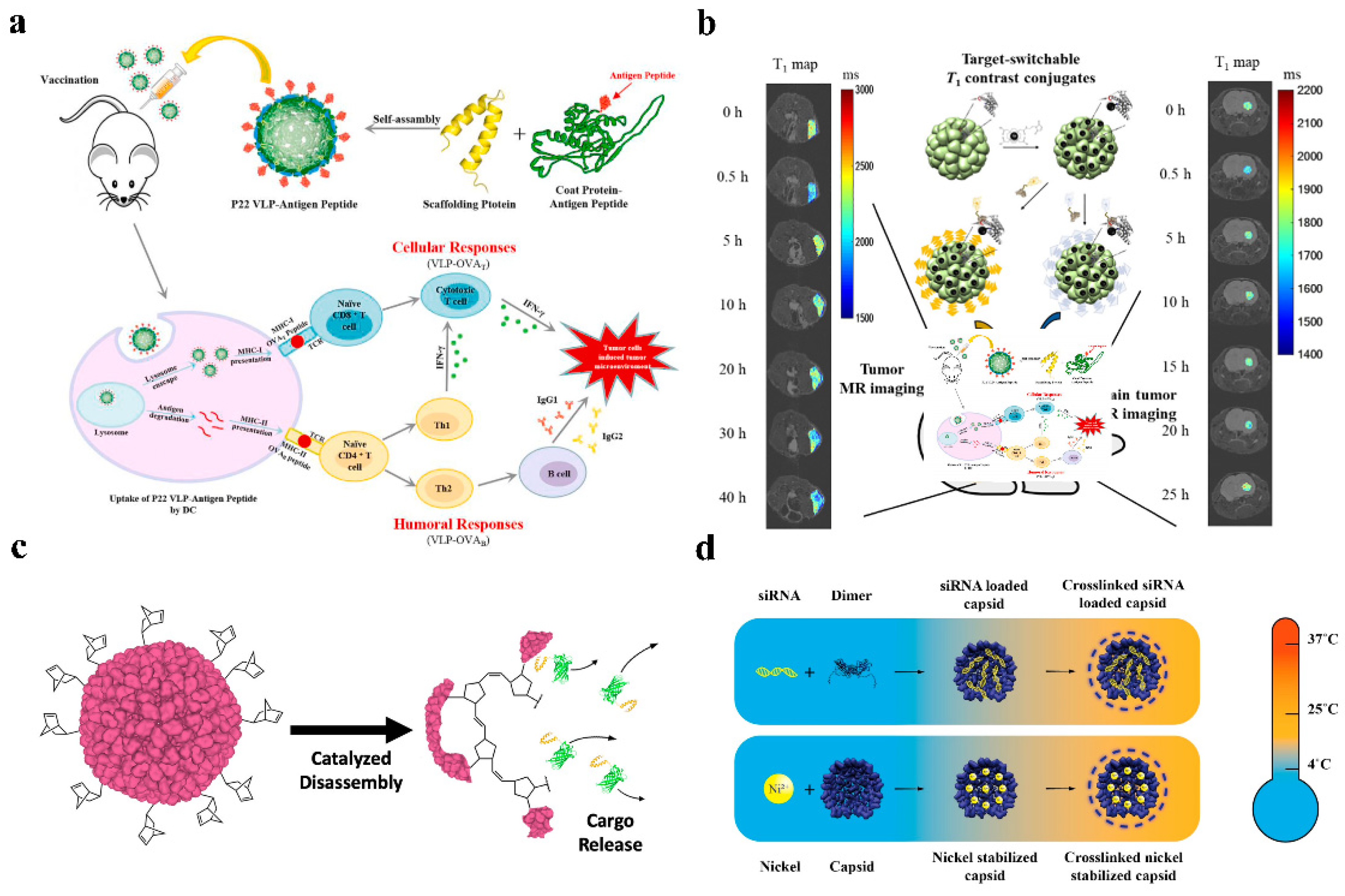 Pharmaceutics 14 02609 g004
