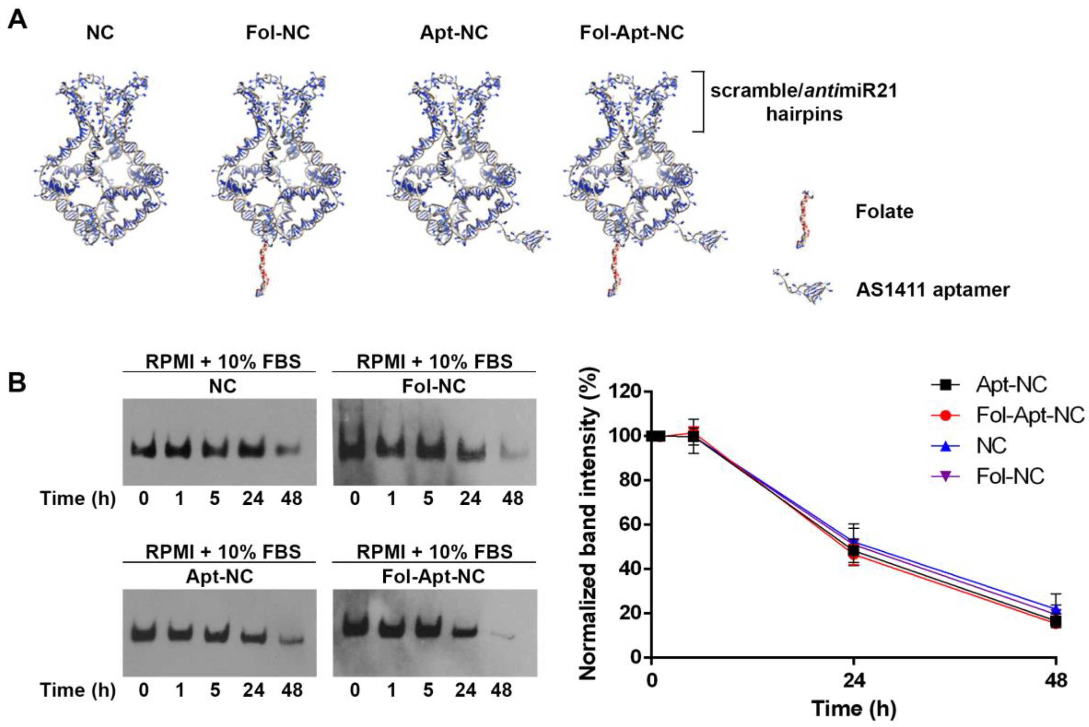 Pharmaceutics 14 02610 g001