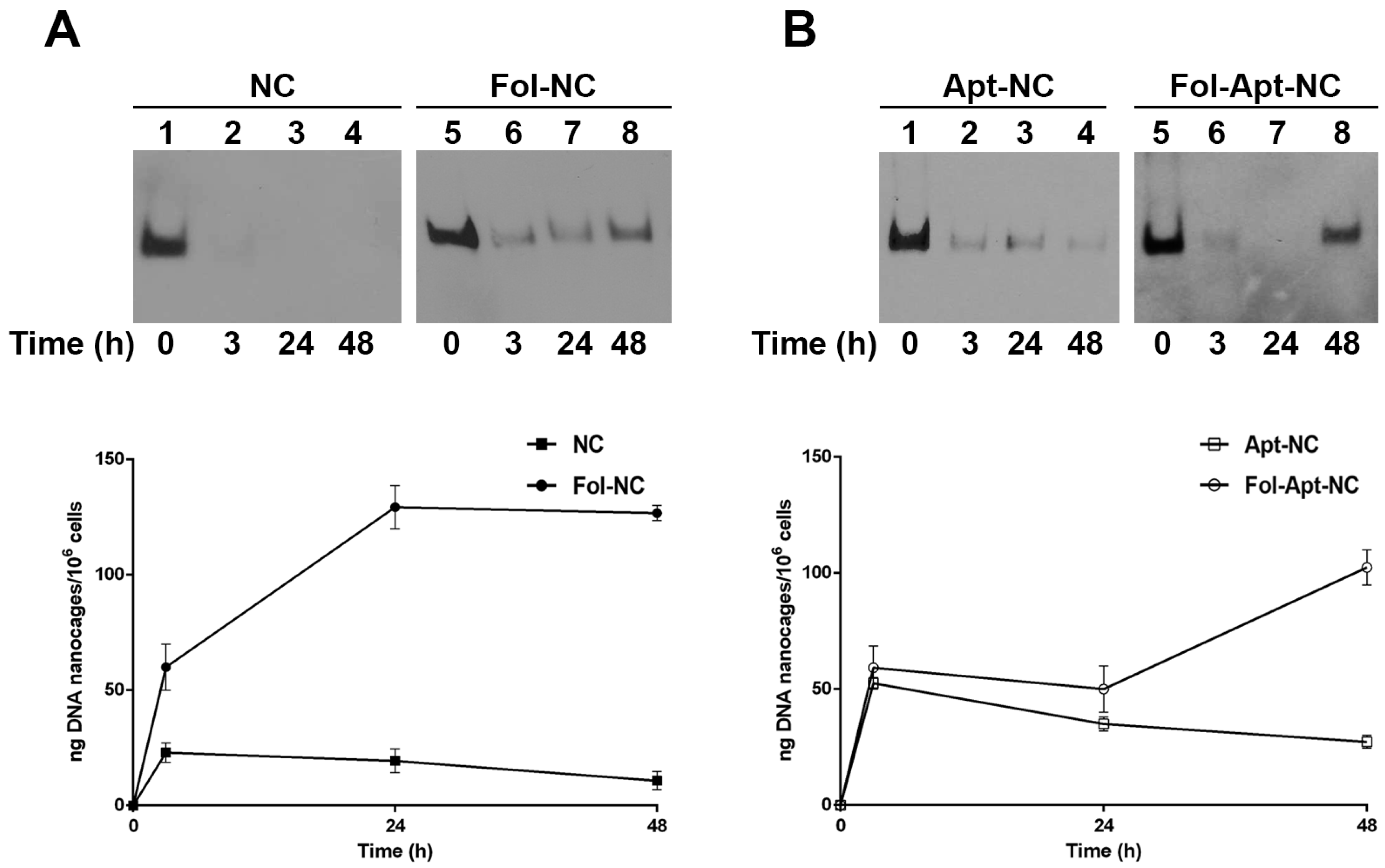 Pharmaceutics 14 02610 g004
