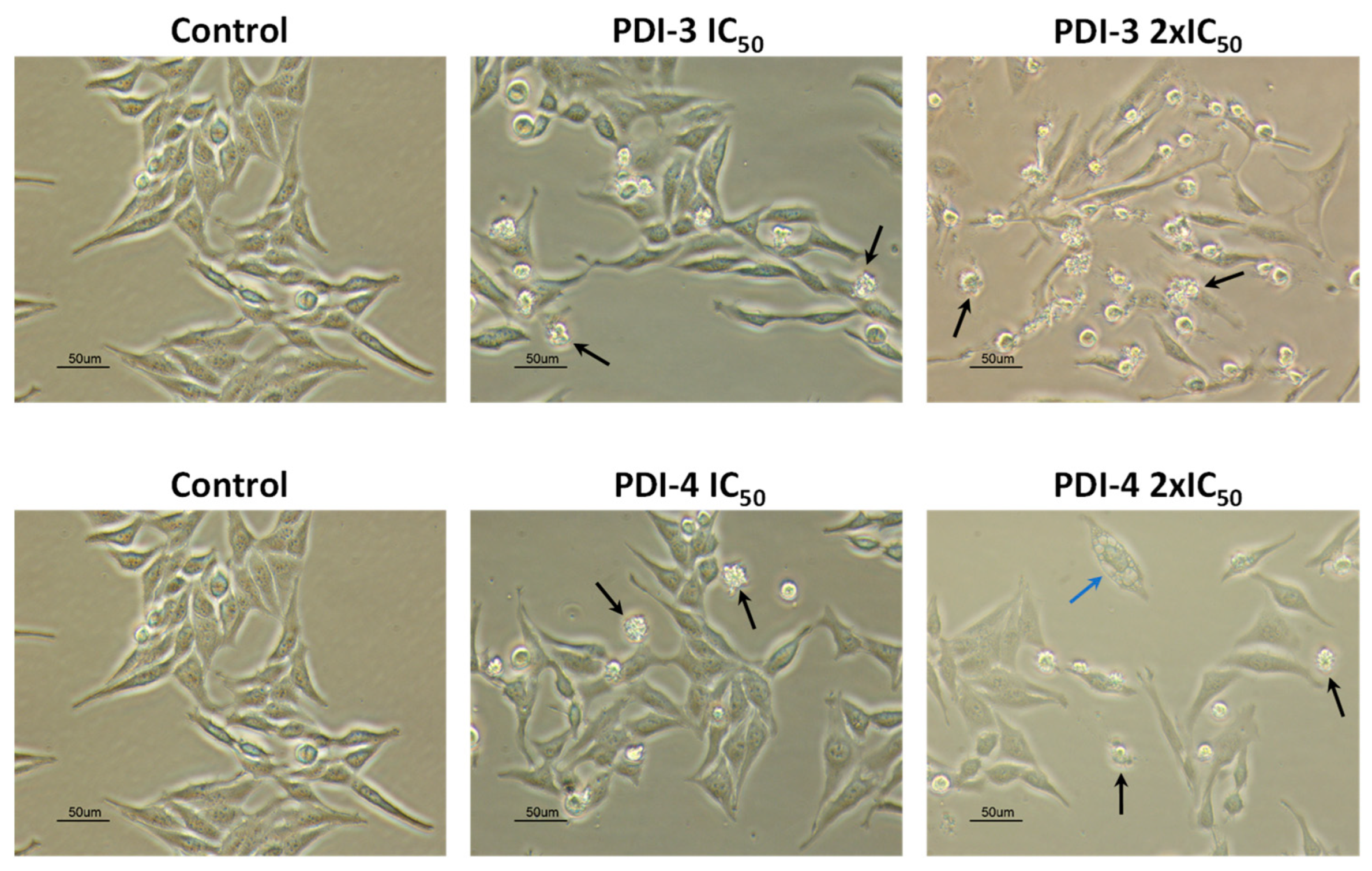 Pharmaceutics 14 02616 g005