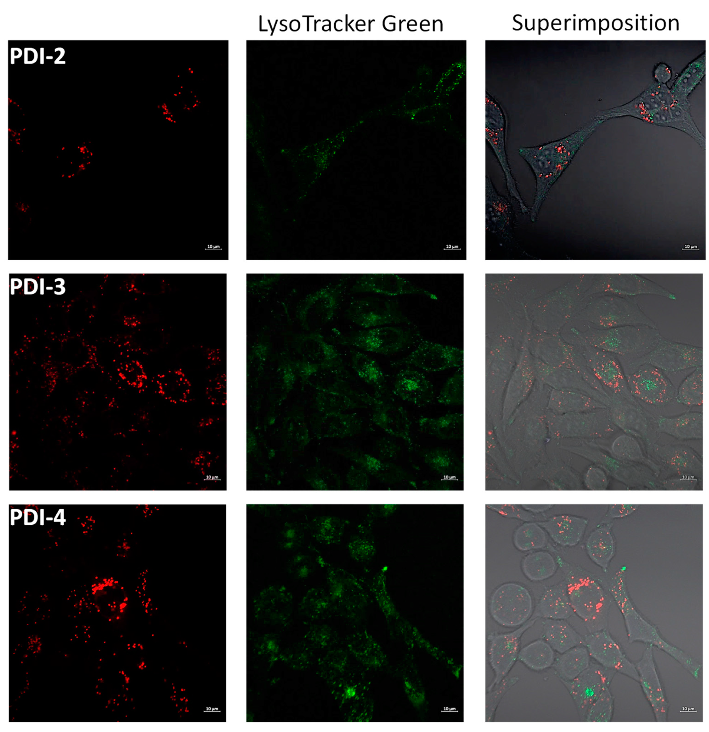 Pharmaceutics 14 02616 g007