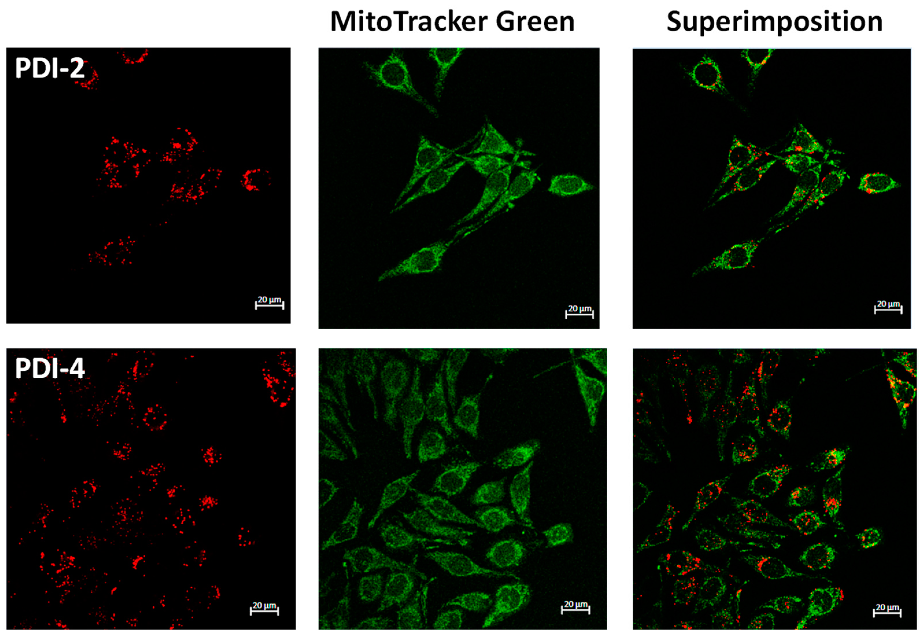 Pharmaceutics 14 02616 g008