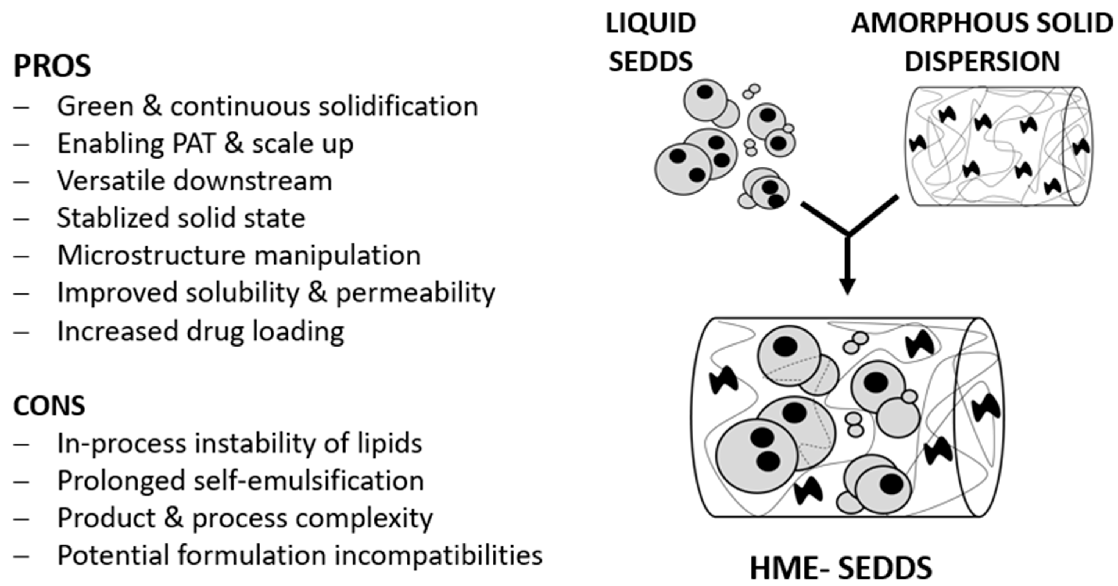 Pharmaceutics 14 02617 g008