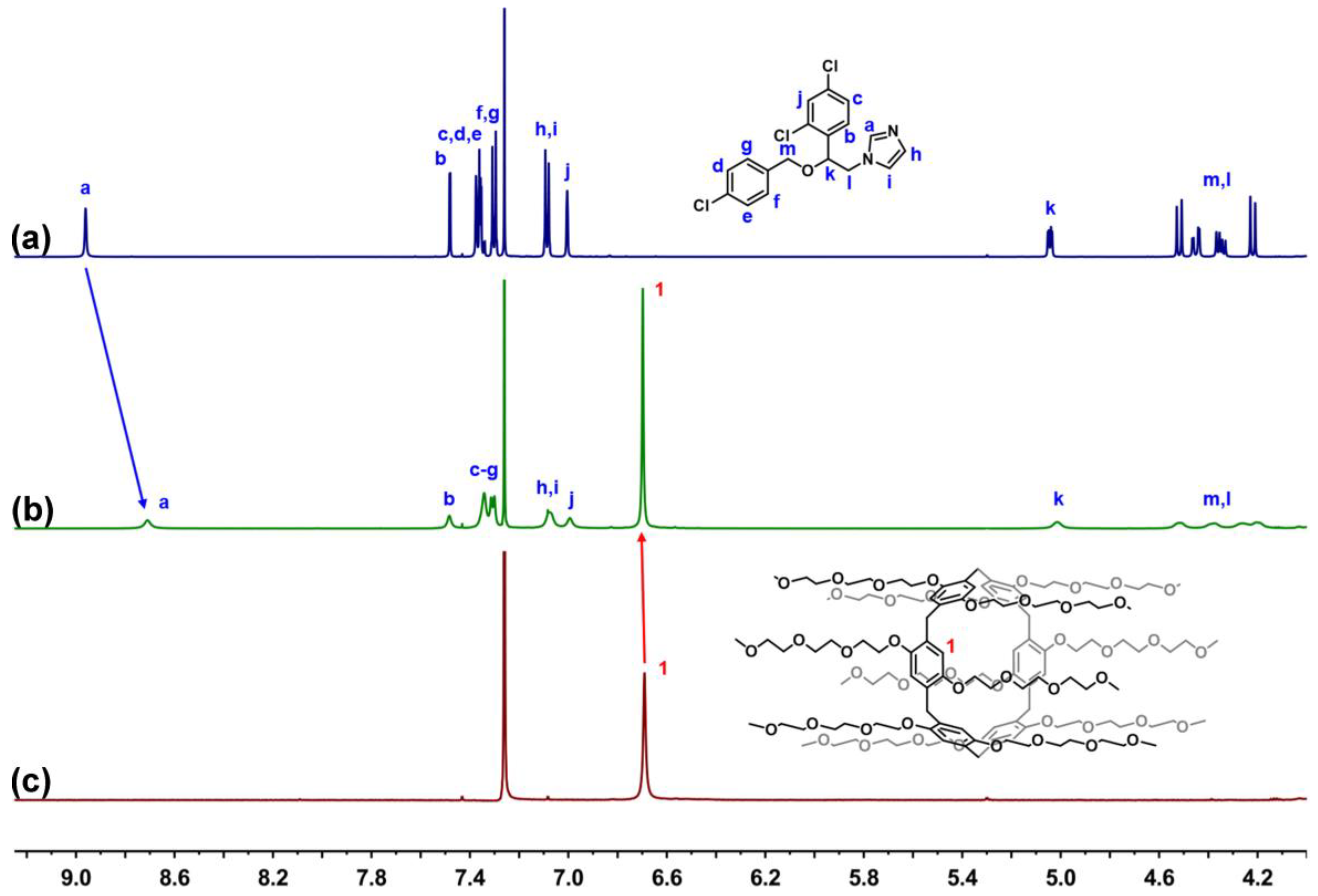 Pharmaceutics 14 02621 g003