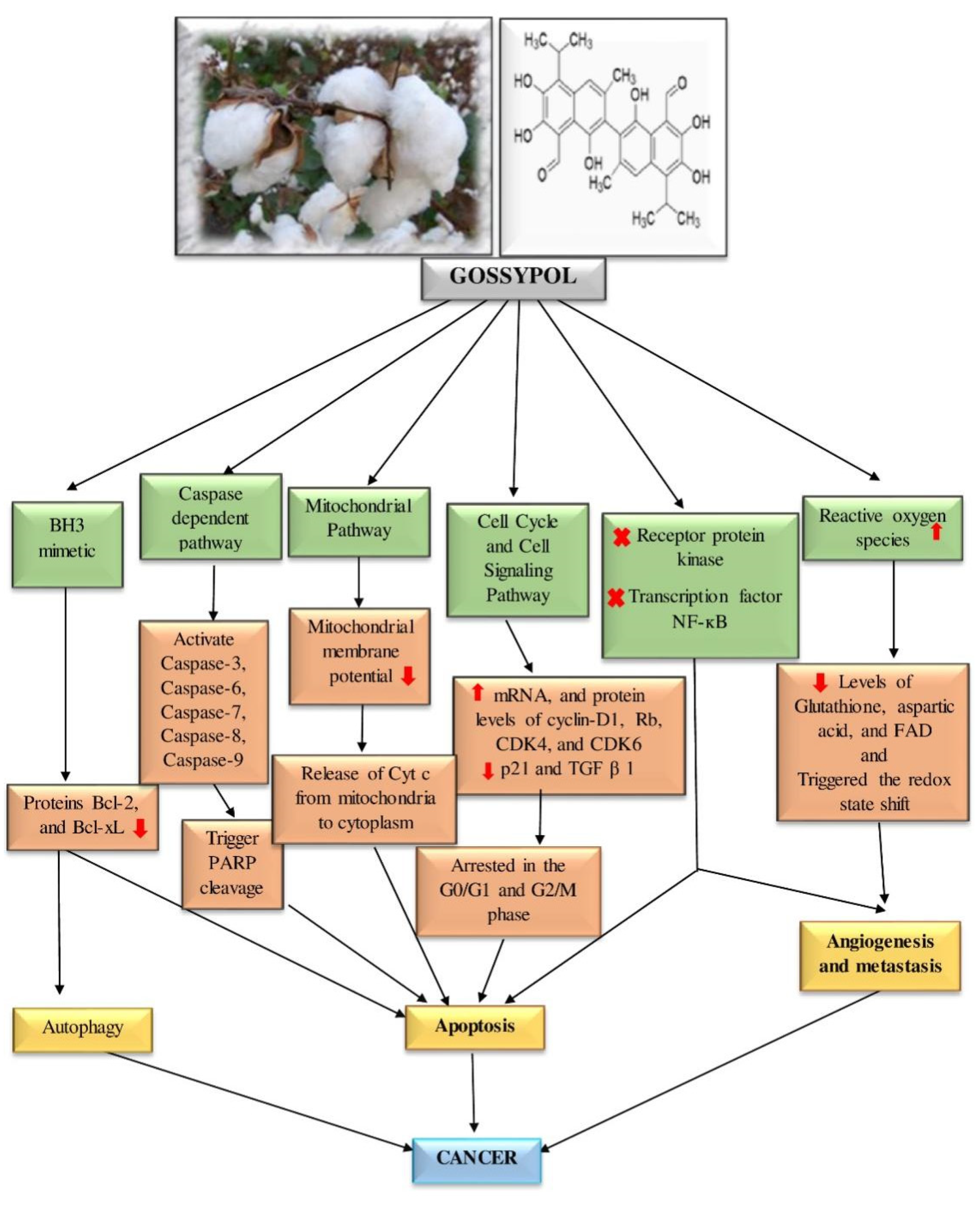 Pharmaceutics 14 02624 g007