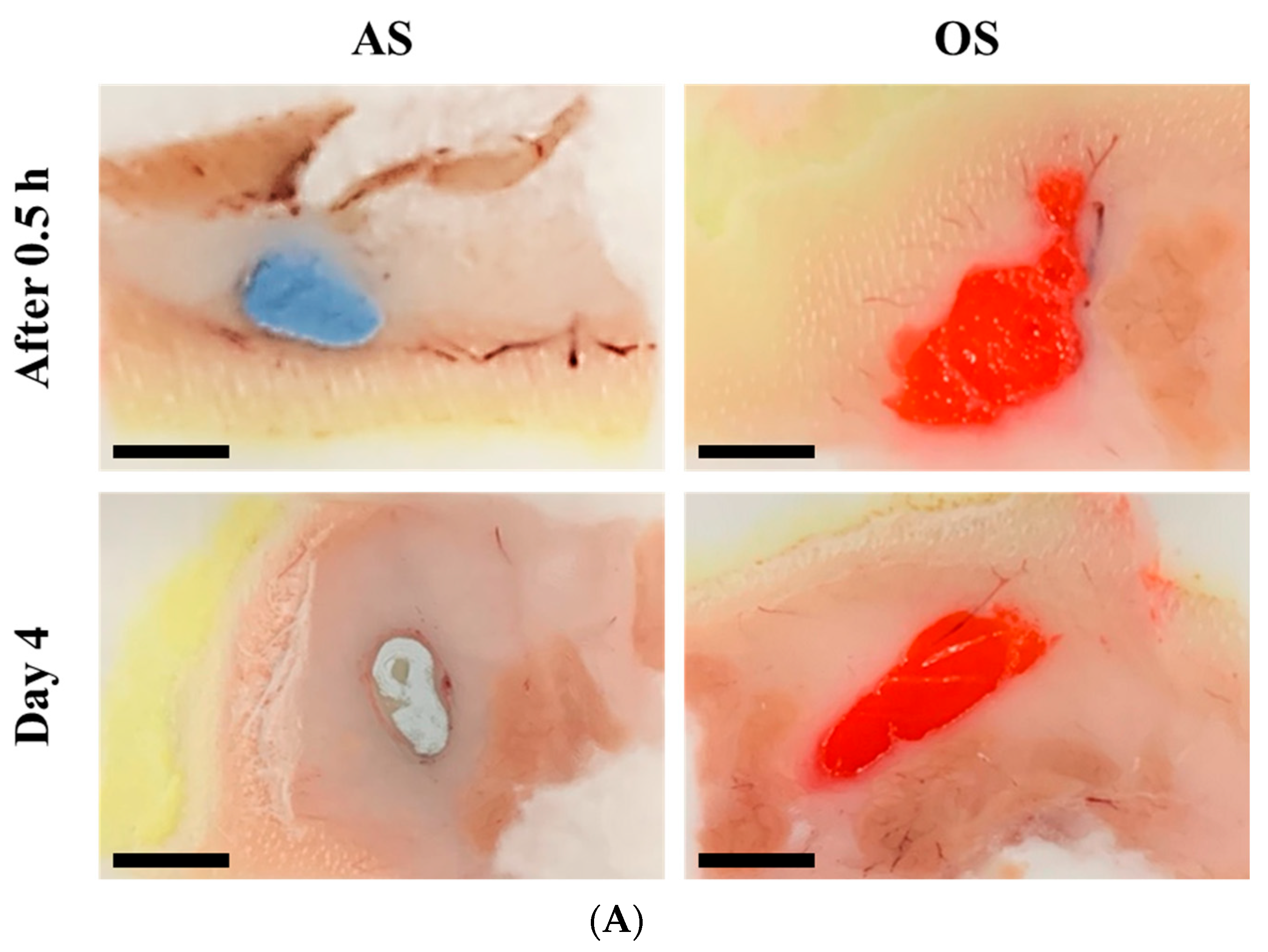 Pharmaceutics 14 02630 g004a Pharmaceutics 14 02630 g004a