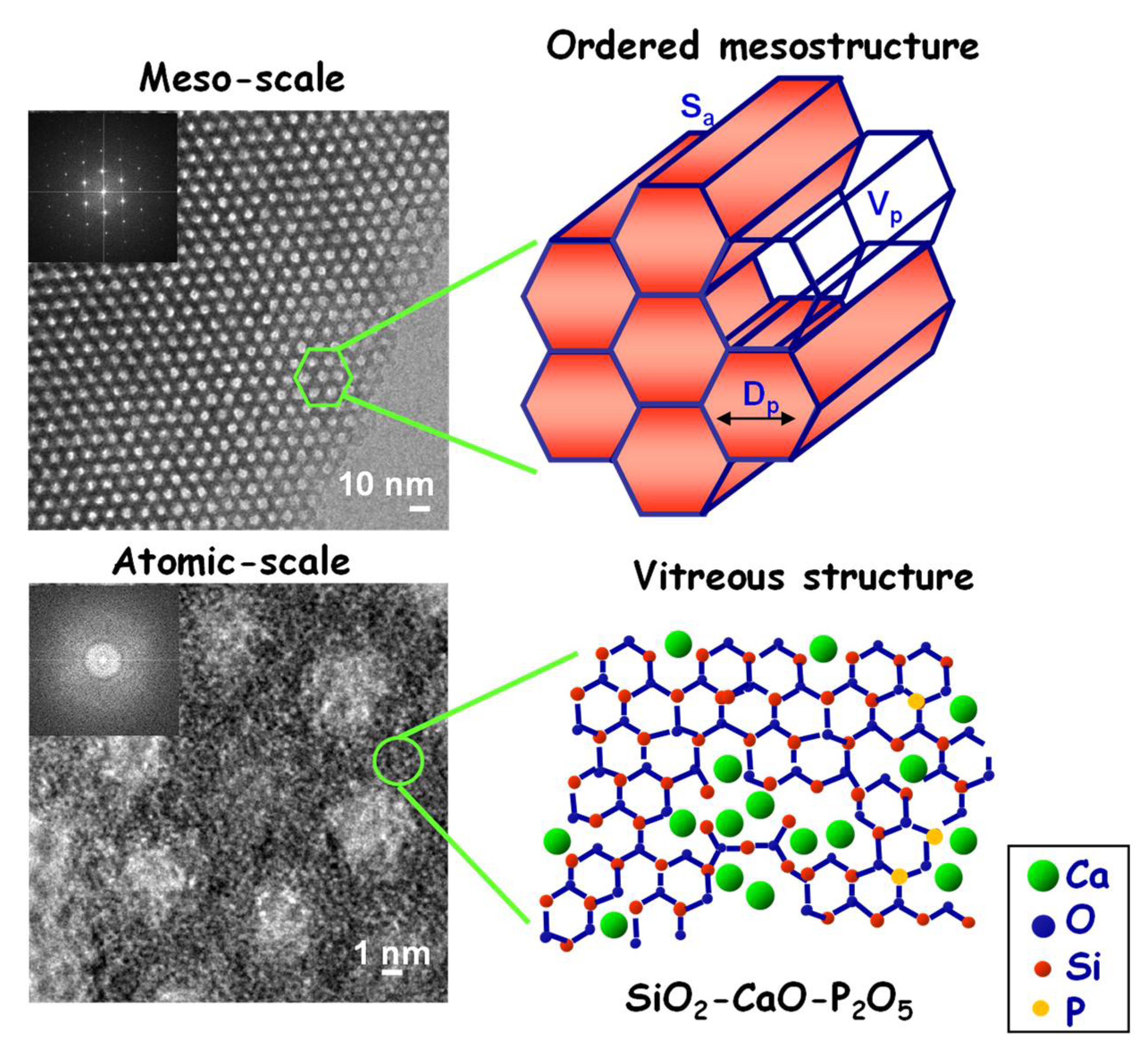 Pharmaceutics 14 02636 g001