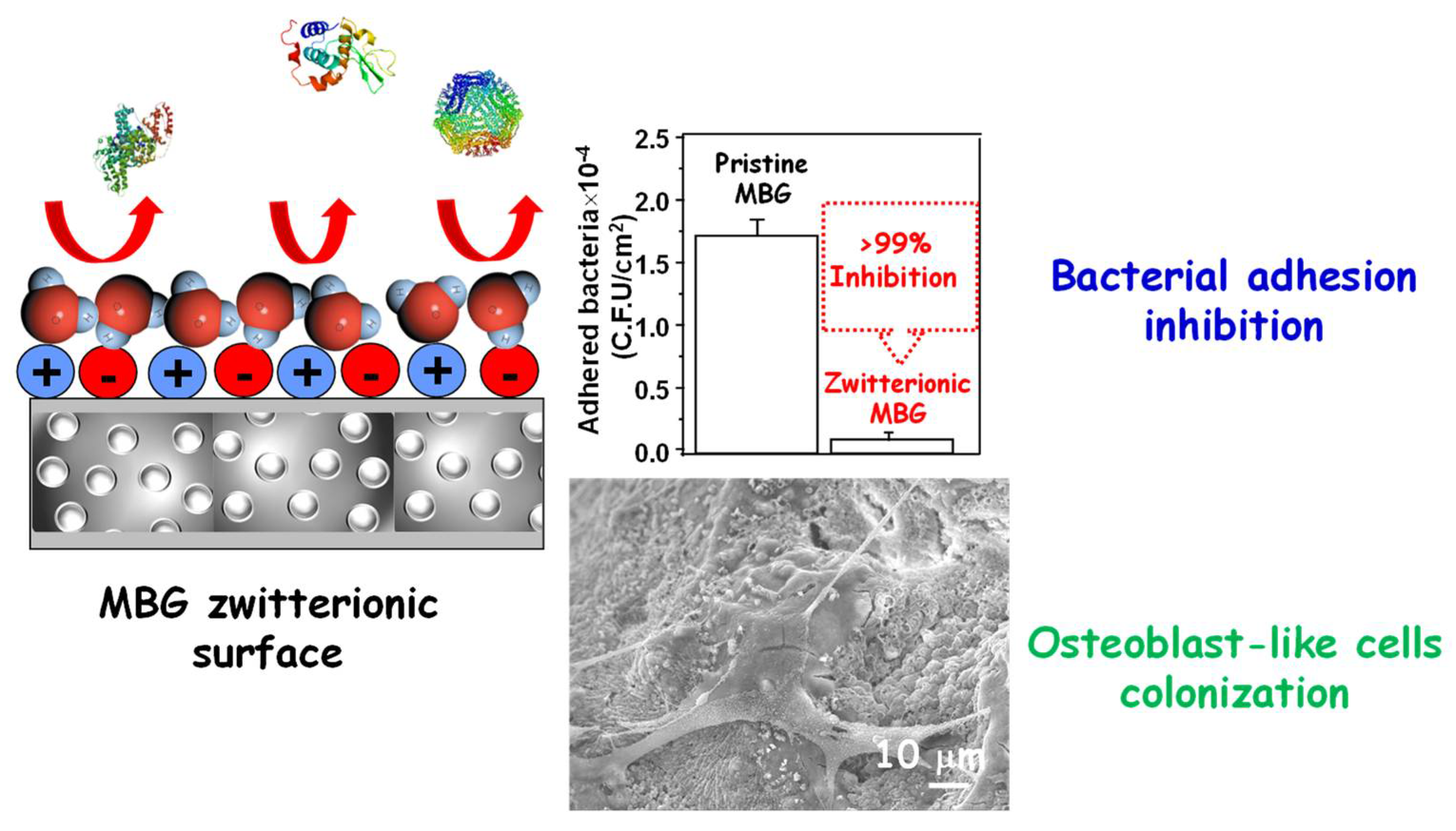 Pharmaceutics 14 02636 g007