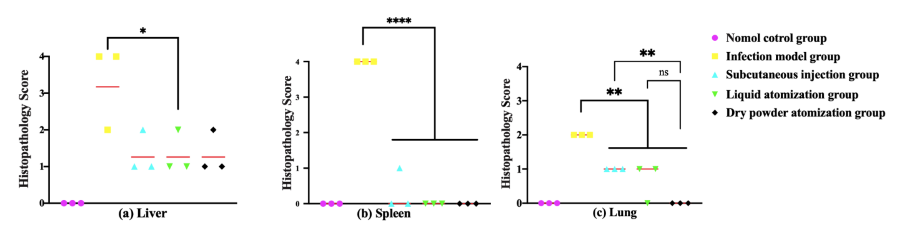 Pharmaceutics 14 02646 g007