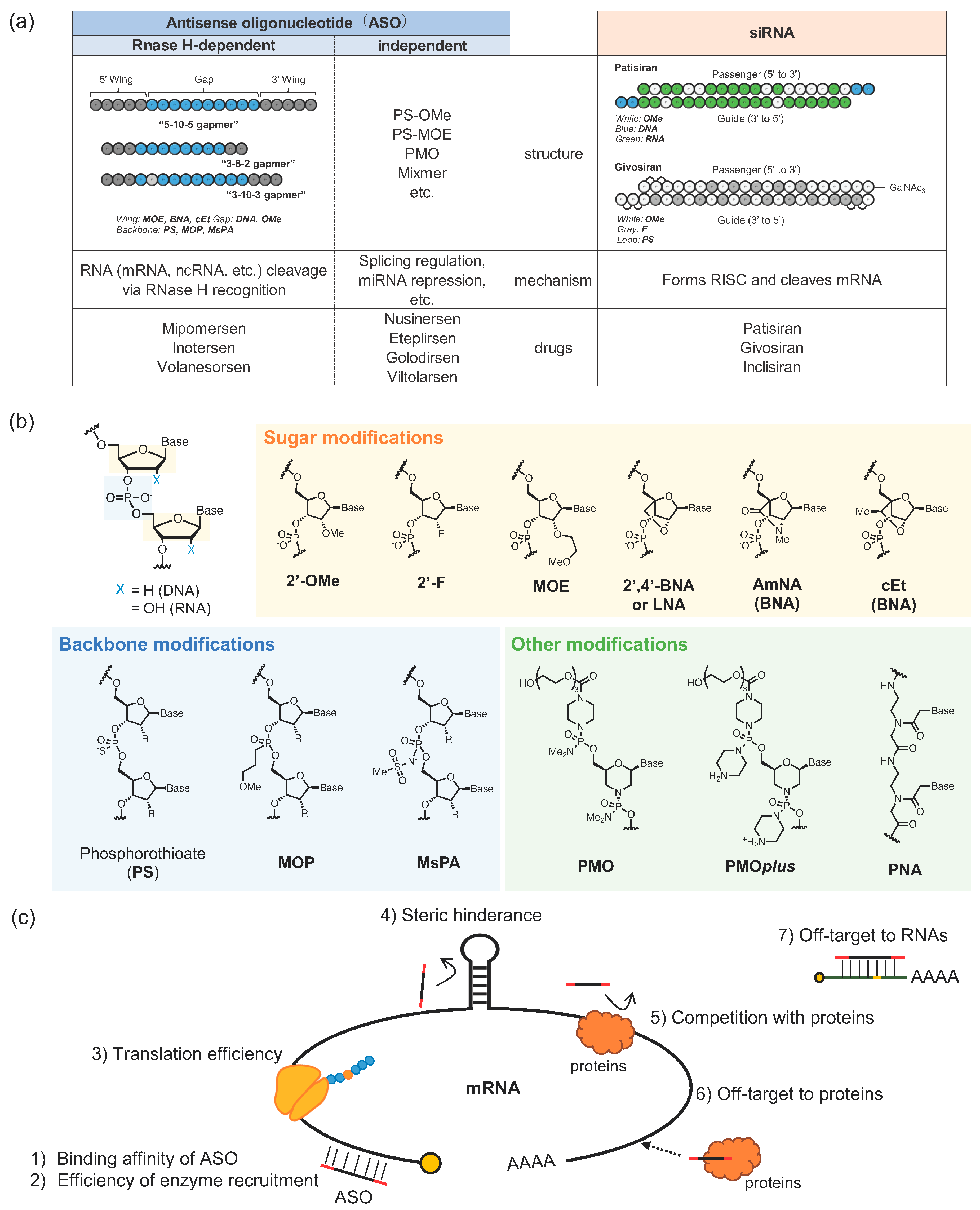 Pharmaceutics 14 02647 g001