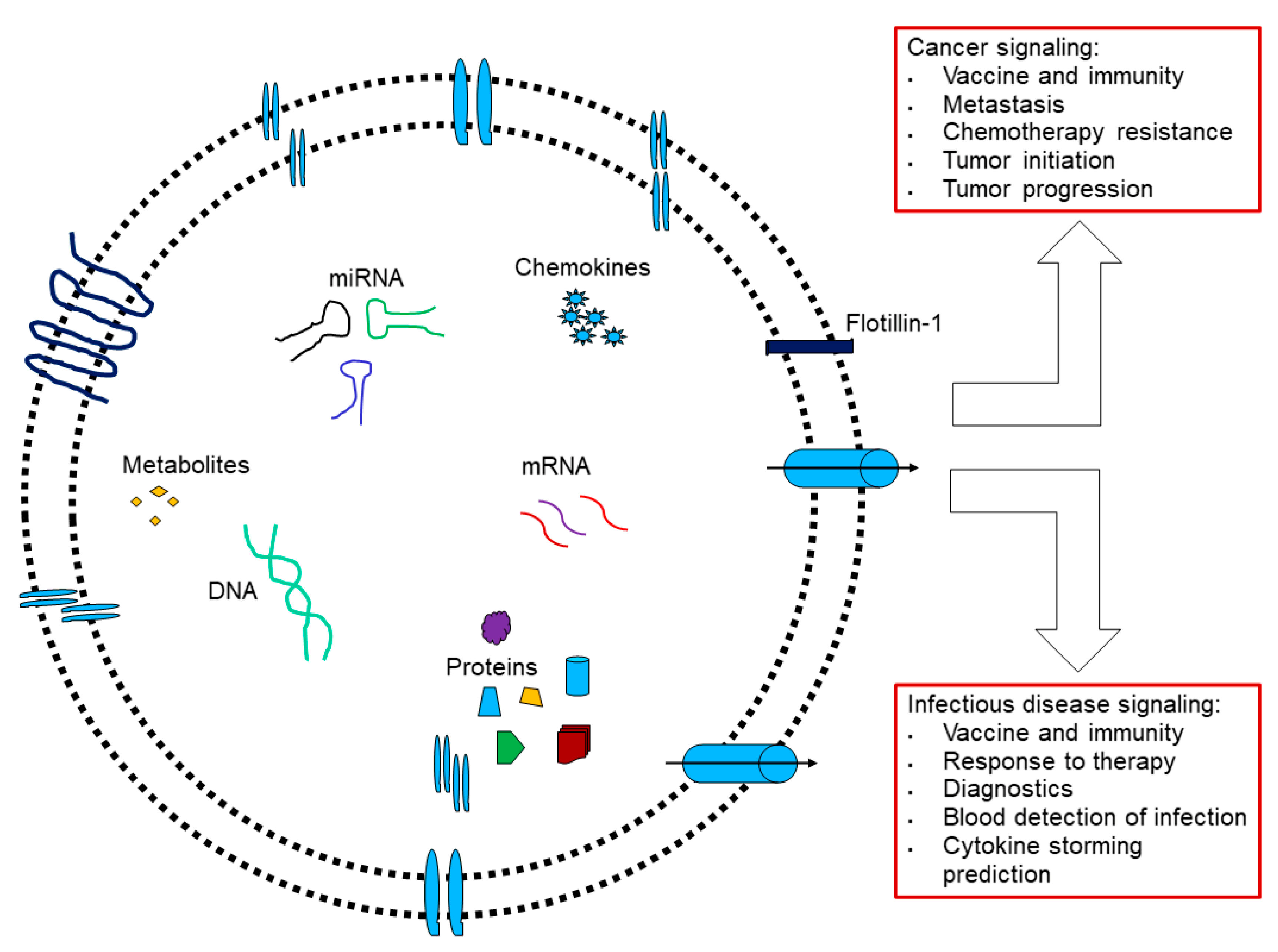 Pharmaceutics 14 02653 g003