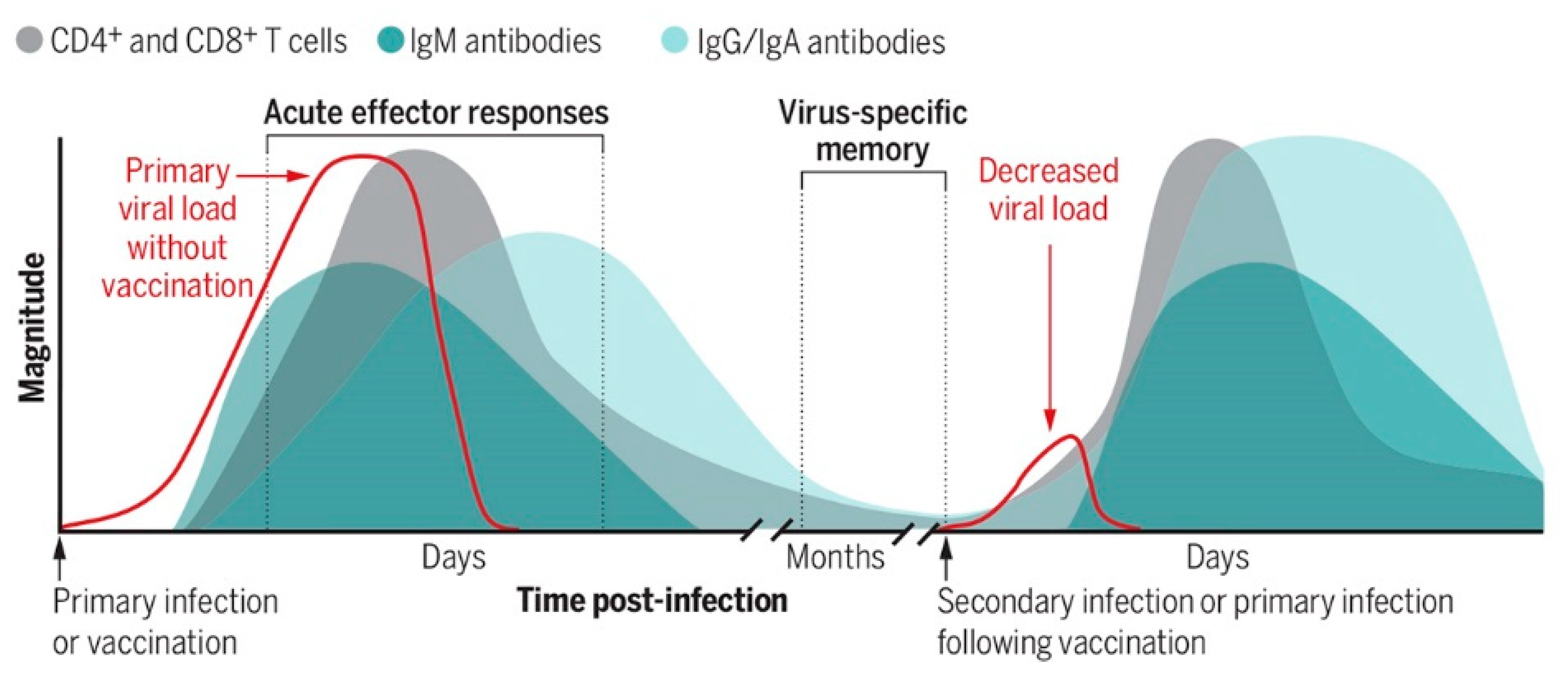 Pharmaceutics 14 02653 g005
