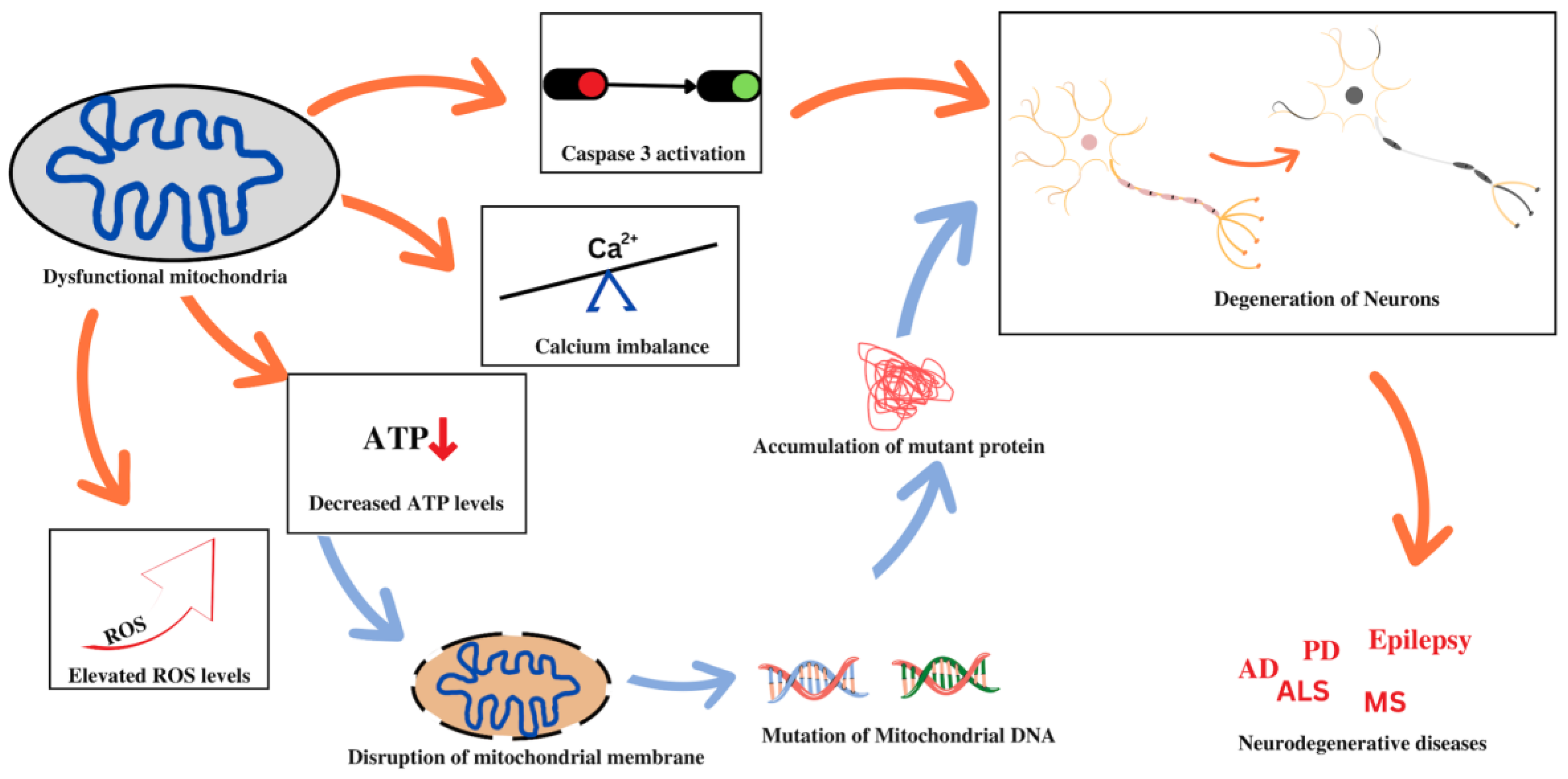 Pharmaceutics 14 02657 g001