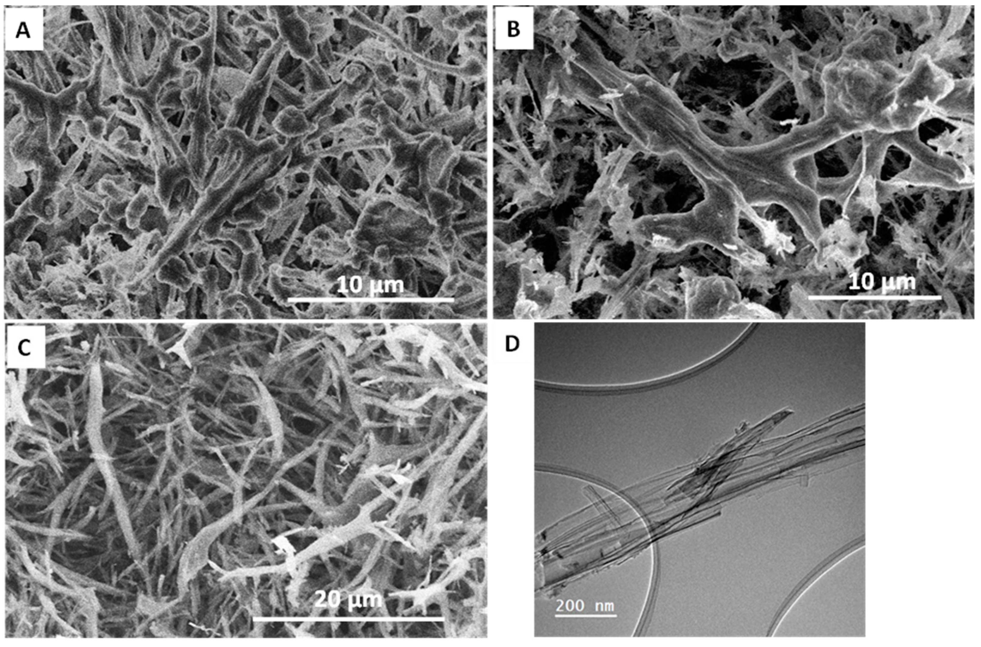 Pharmaceutics 14 02660 g003 Pharmaceutics 14 02660 g003
