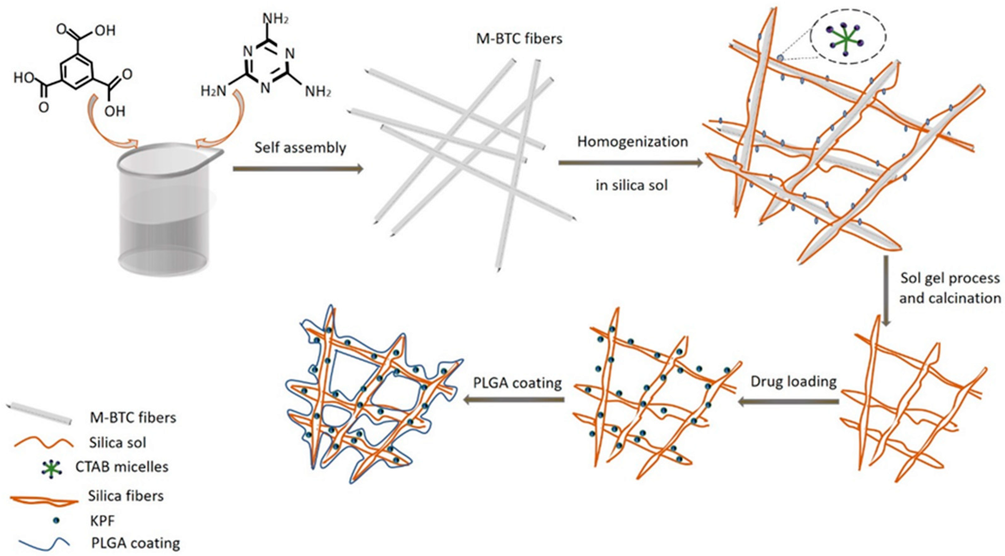 Pharmaceutics 14 02660 sch001 Pharmaceutics 14 02660 sch001