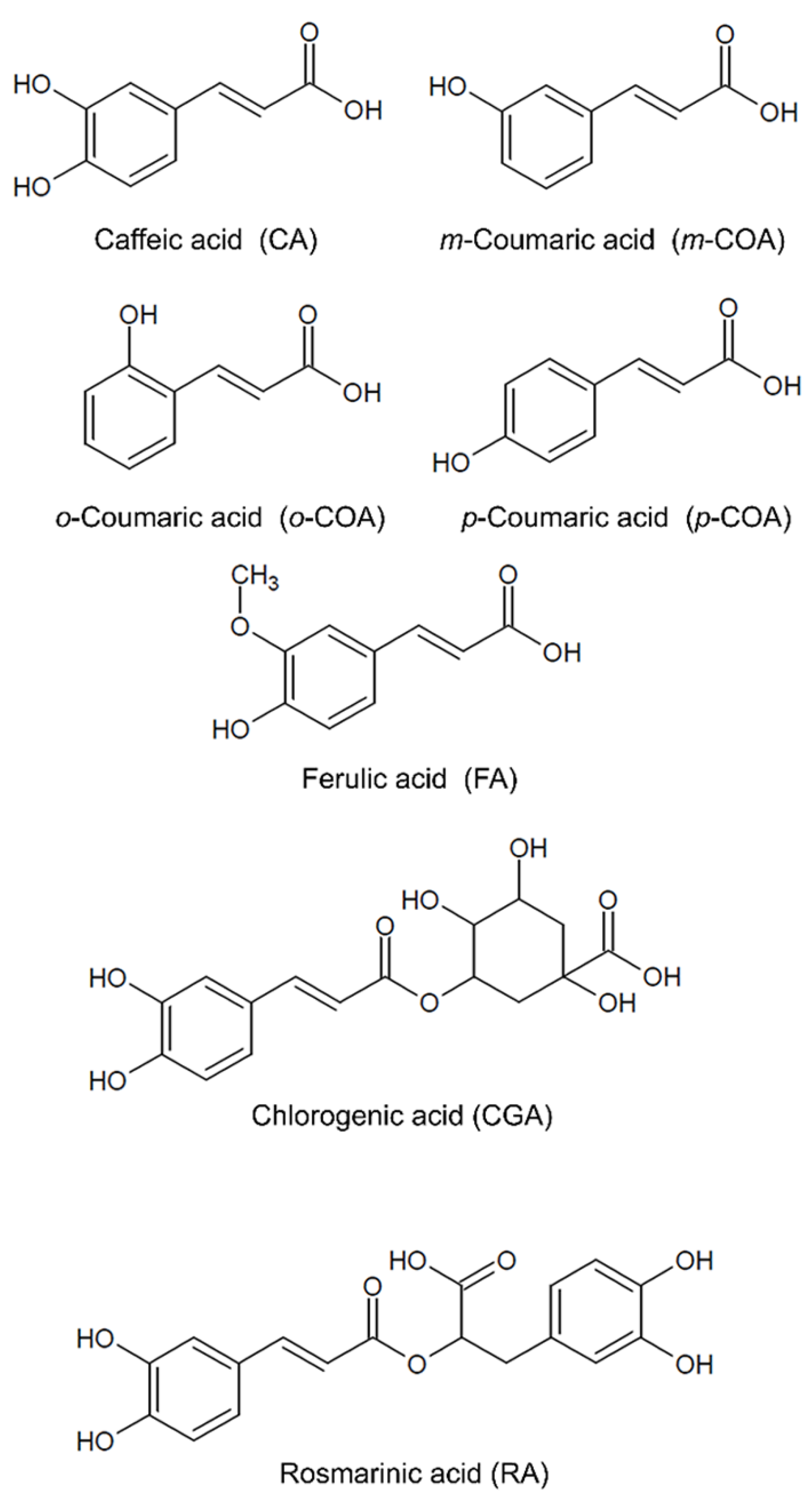 Pharmaceutics 14 02663 g001