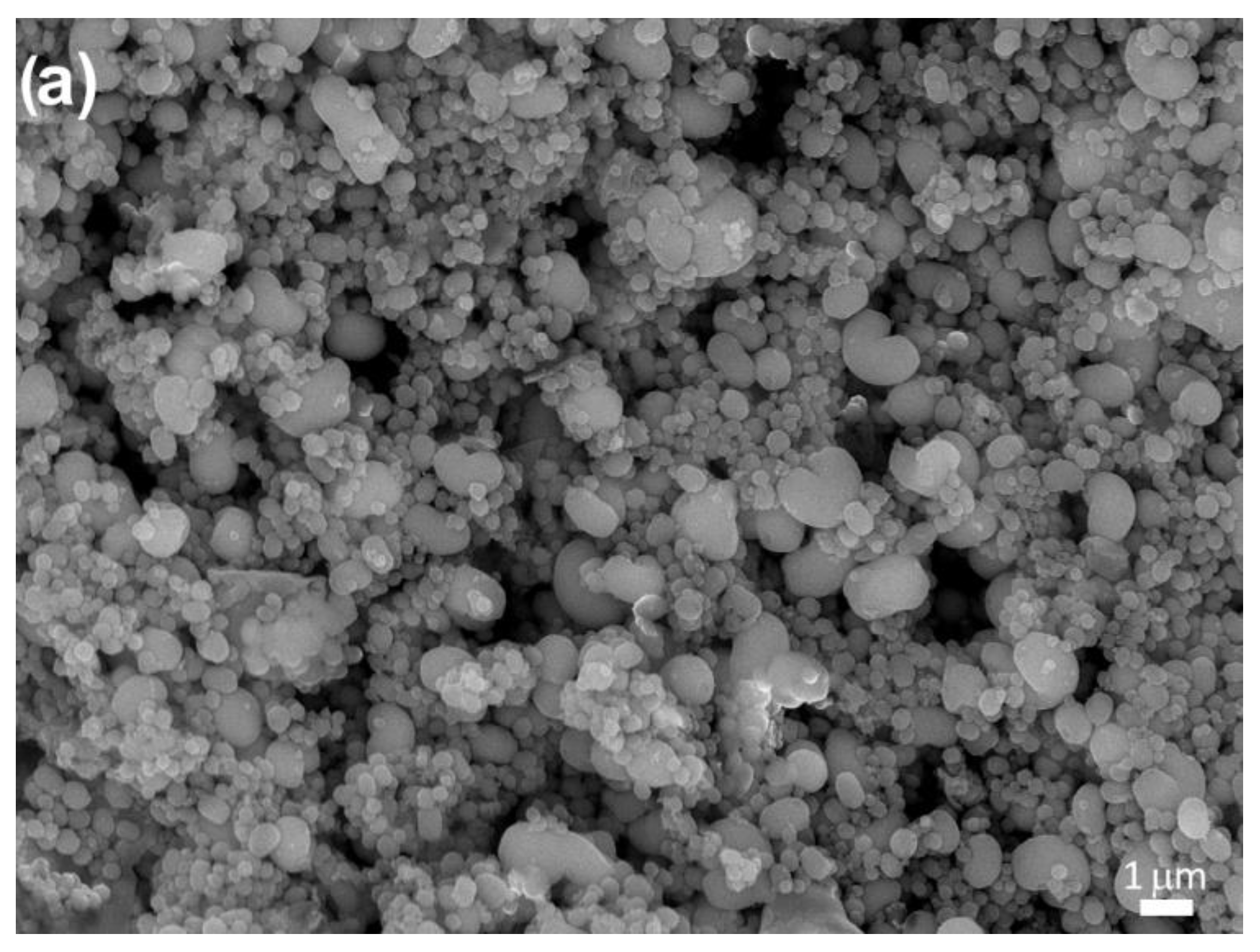 Pharmaceutics 14 02670 g001a