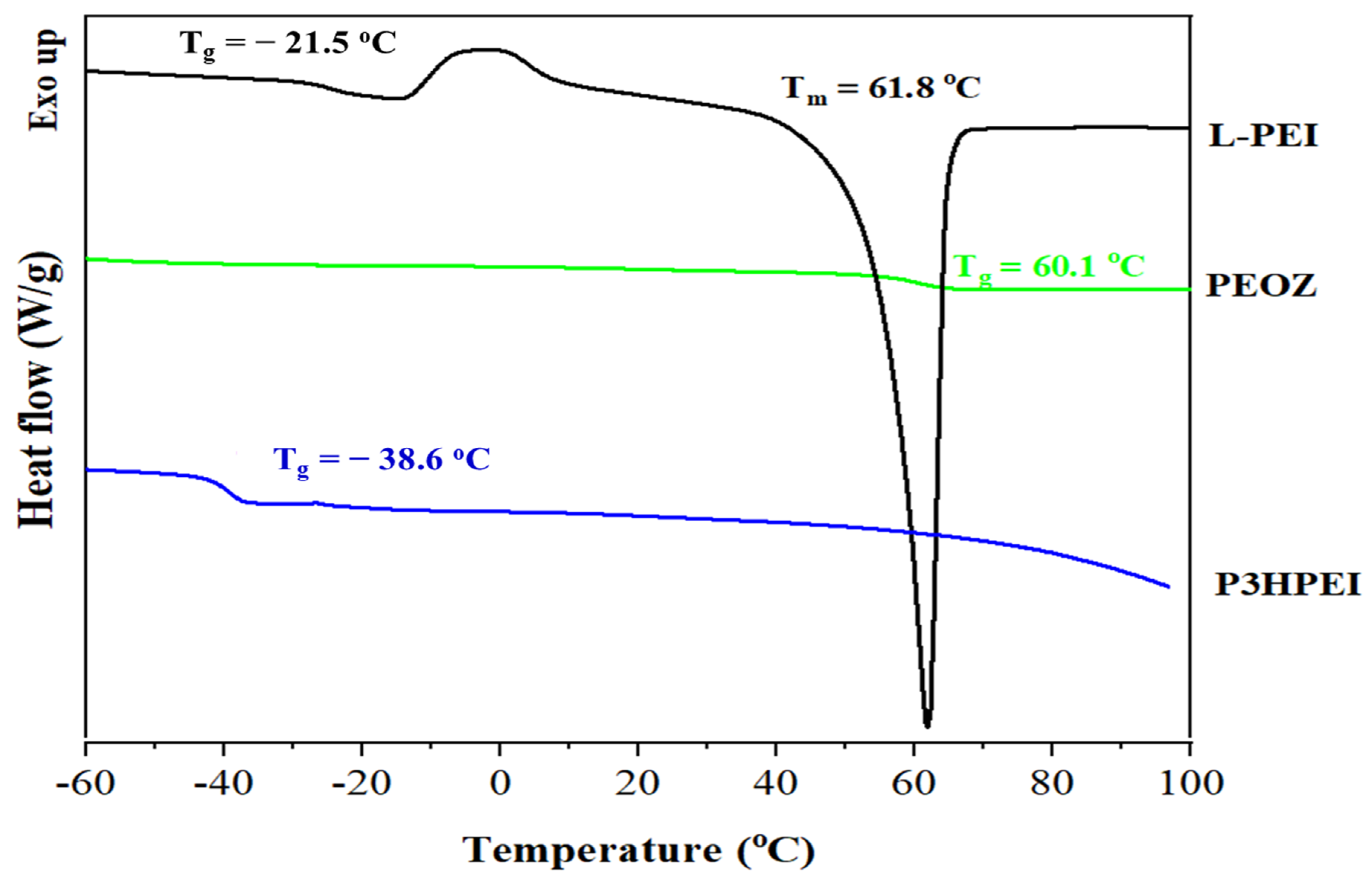 Pharmaceutics 14 02671 g003 Pharmaceutics 14 02671 g003