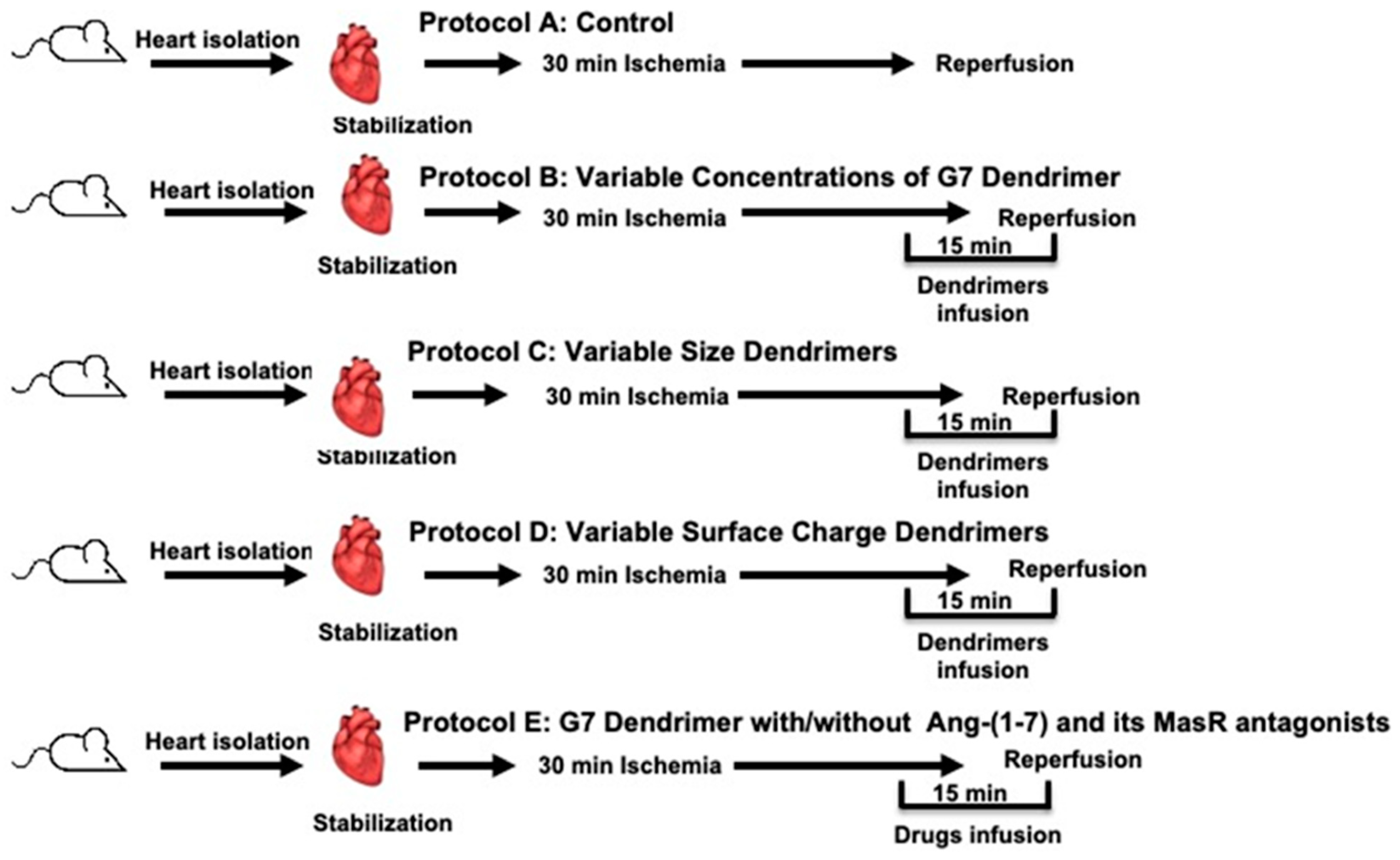 Pharmaceutics 14 02673 g001