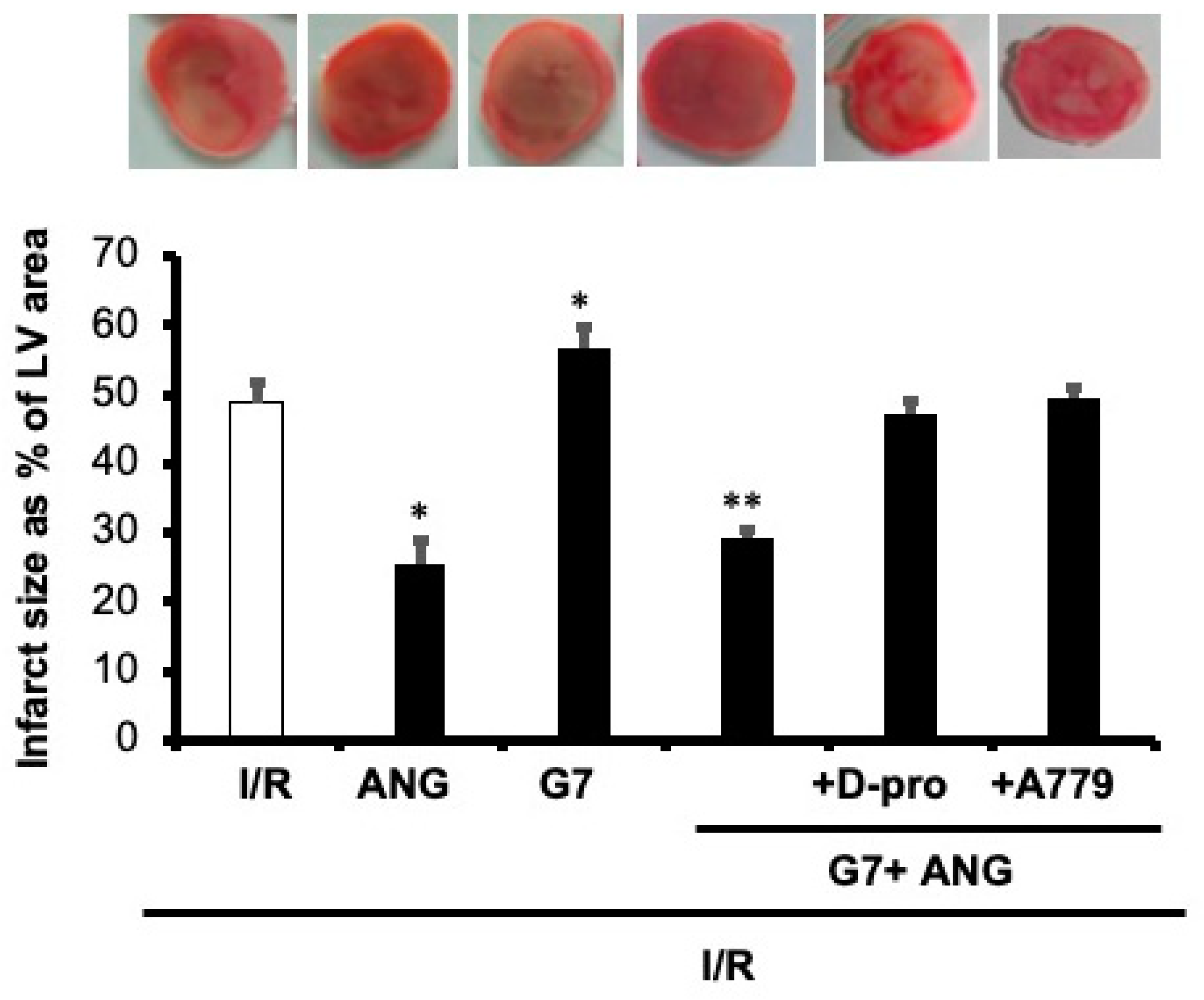 Pharmaceutics 14 02673 g005